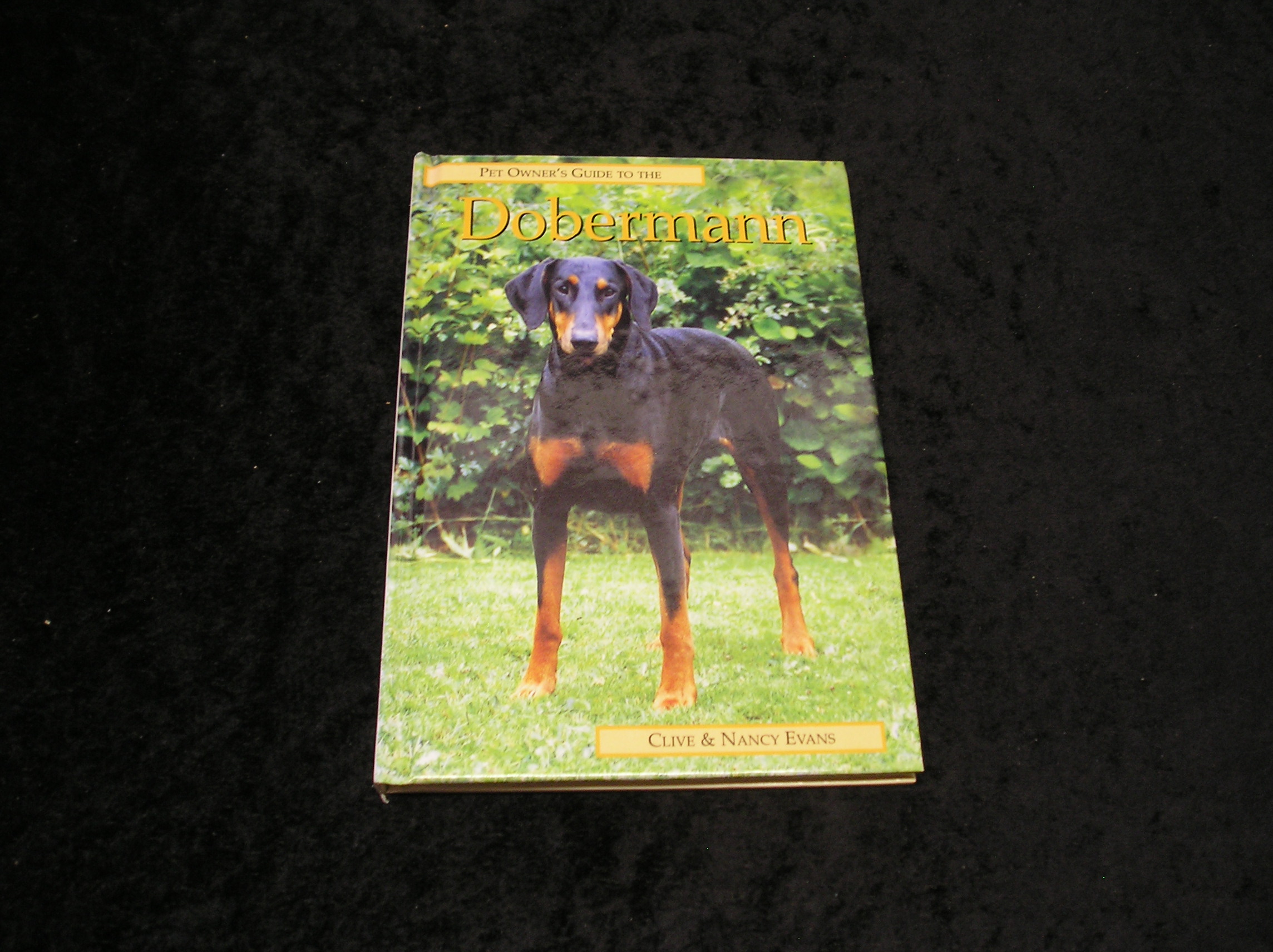 Image 0 of Dobermann