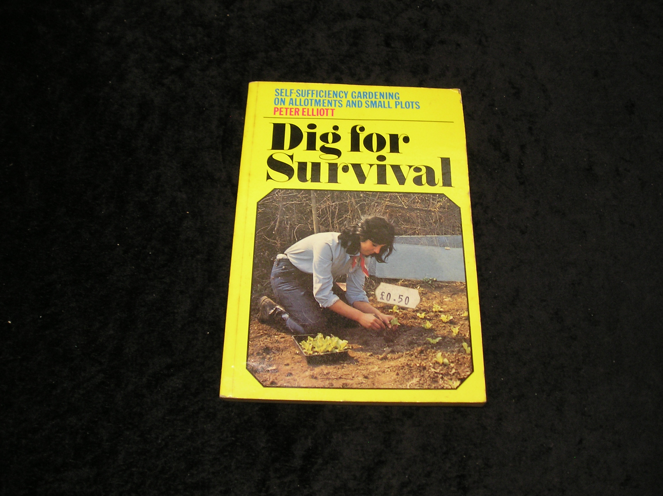 Image 0 of Dig For Survival