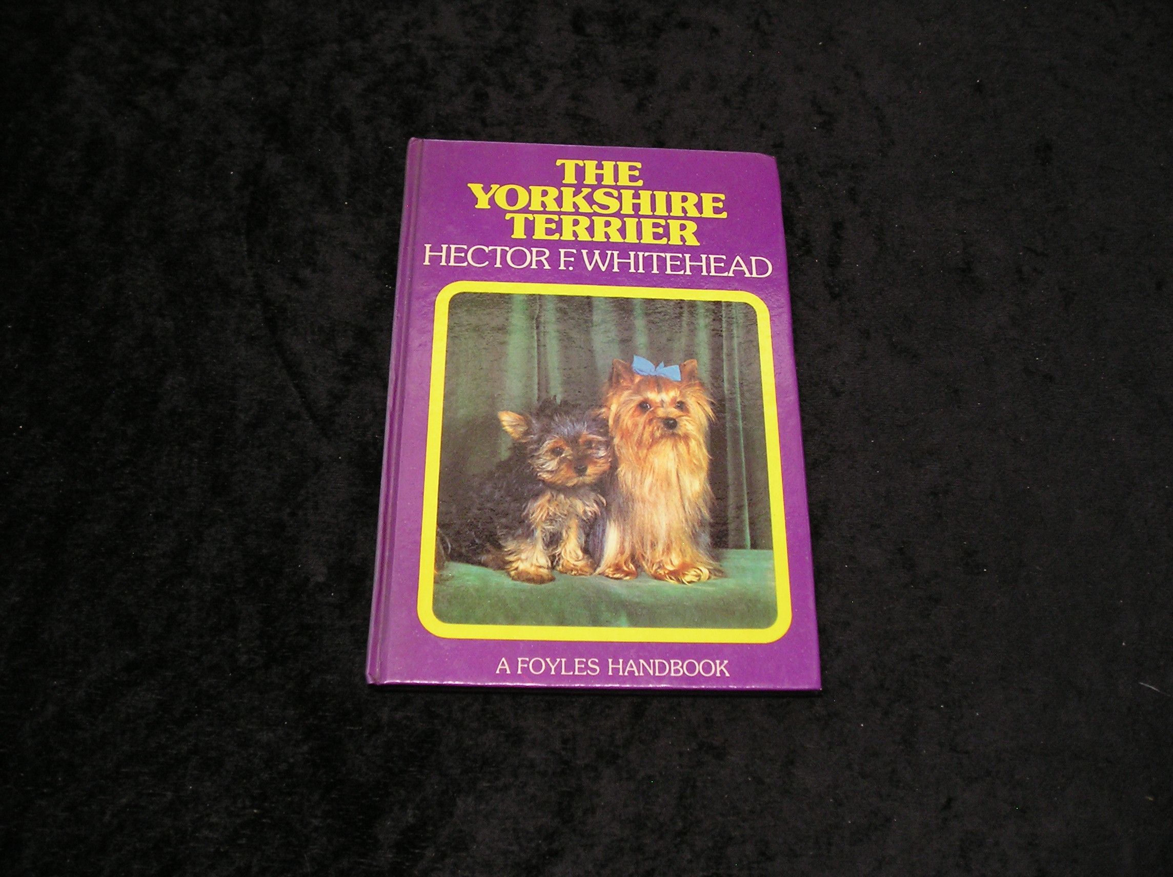 Image 0 of The Yorkshire Terrier