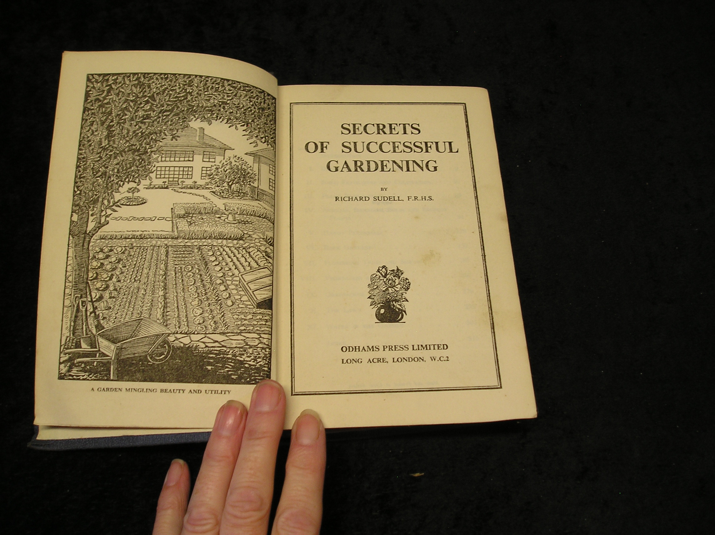 Image 0 of Secrets of Successful gardening