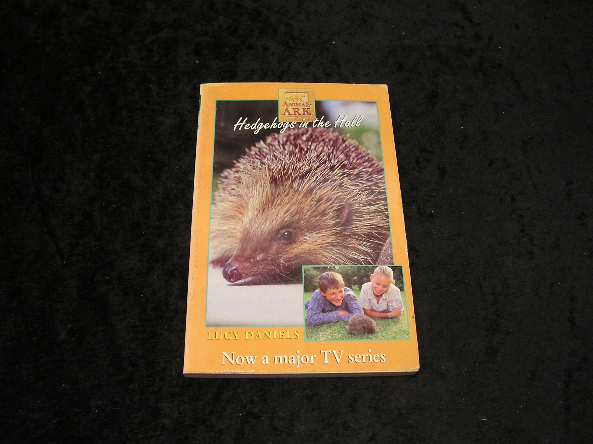 Image 0 of Hedgehogs in the Hall