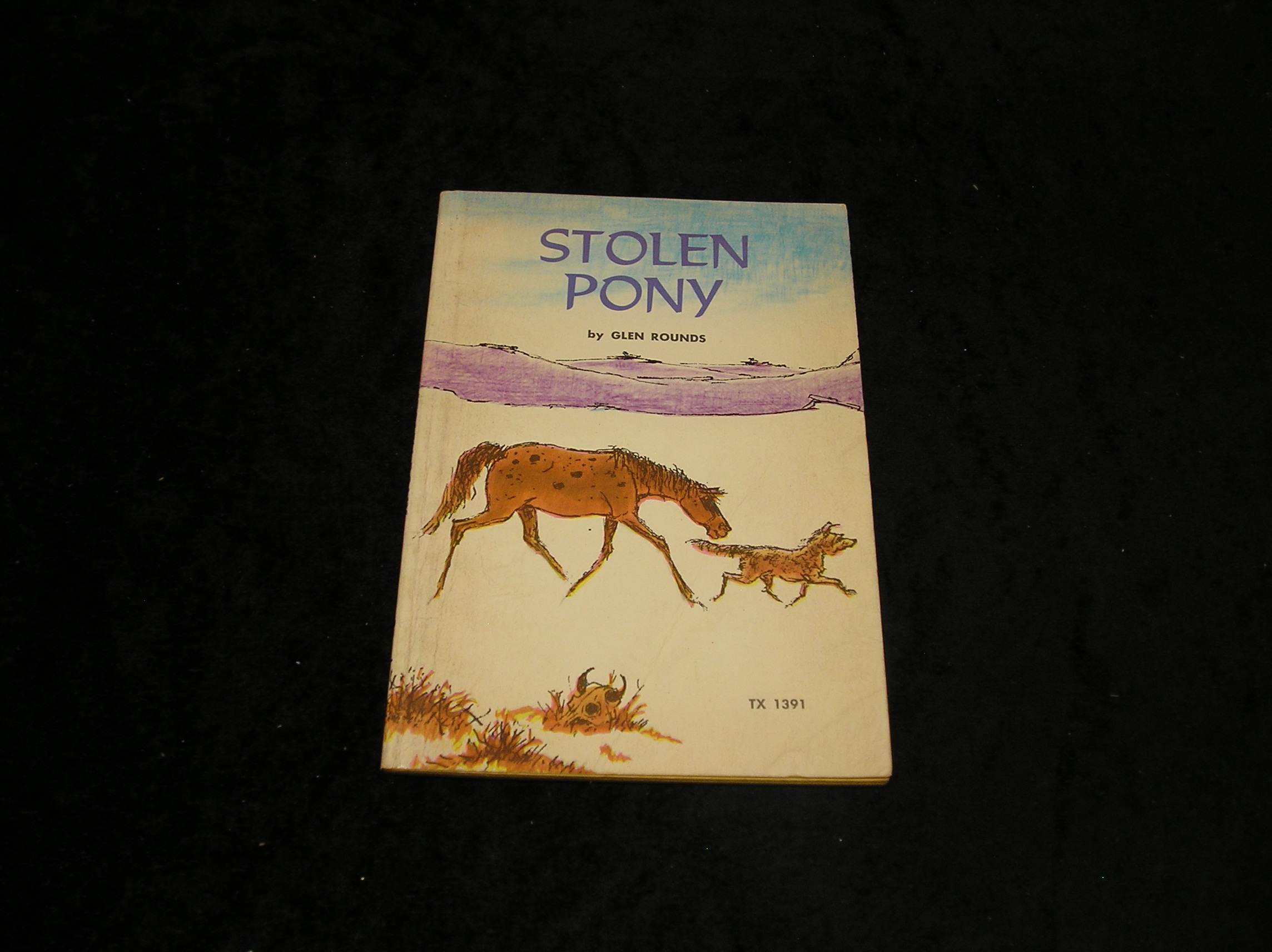 Image 0 of Stolen Pony