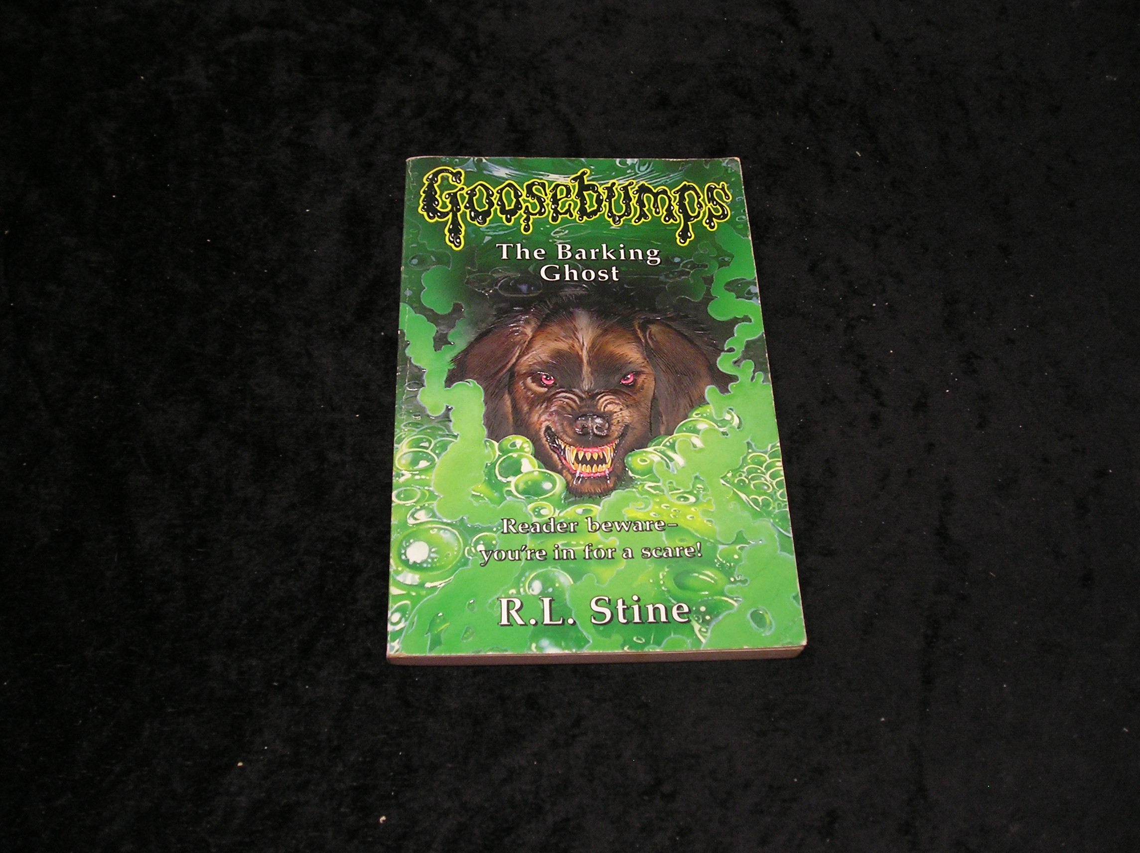 Image 0 of Goosebumps: The Barking Ghost