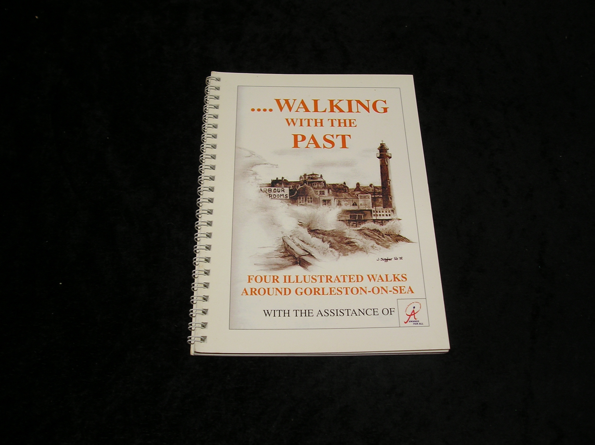 Image 0 of Walking With the Past