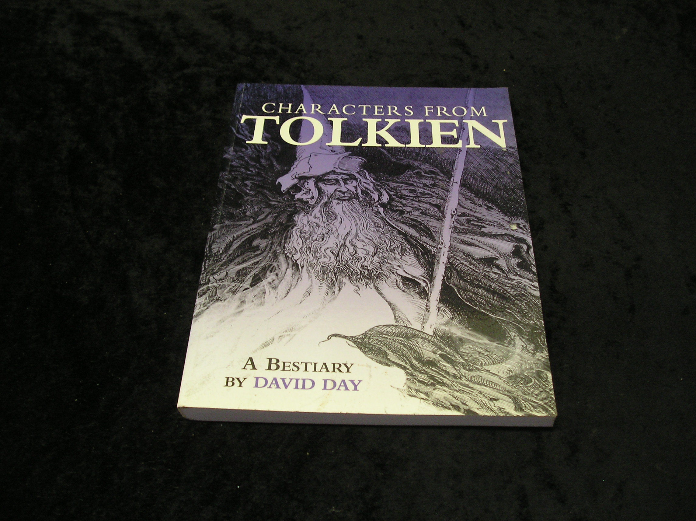 Image 0 of Characters From Tolkien
