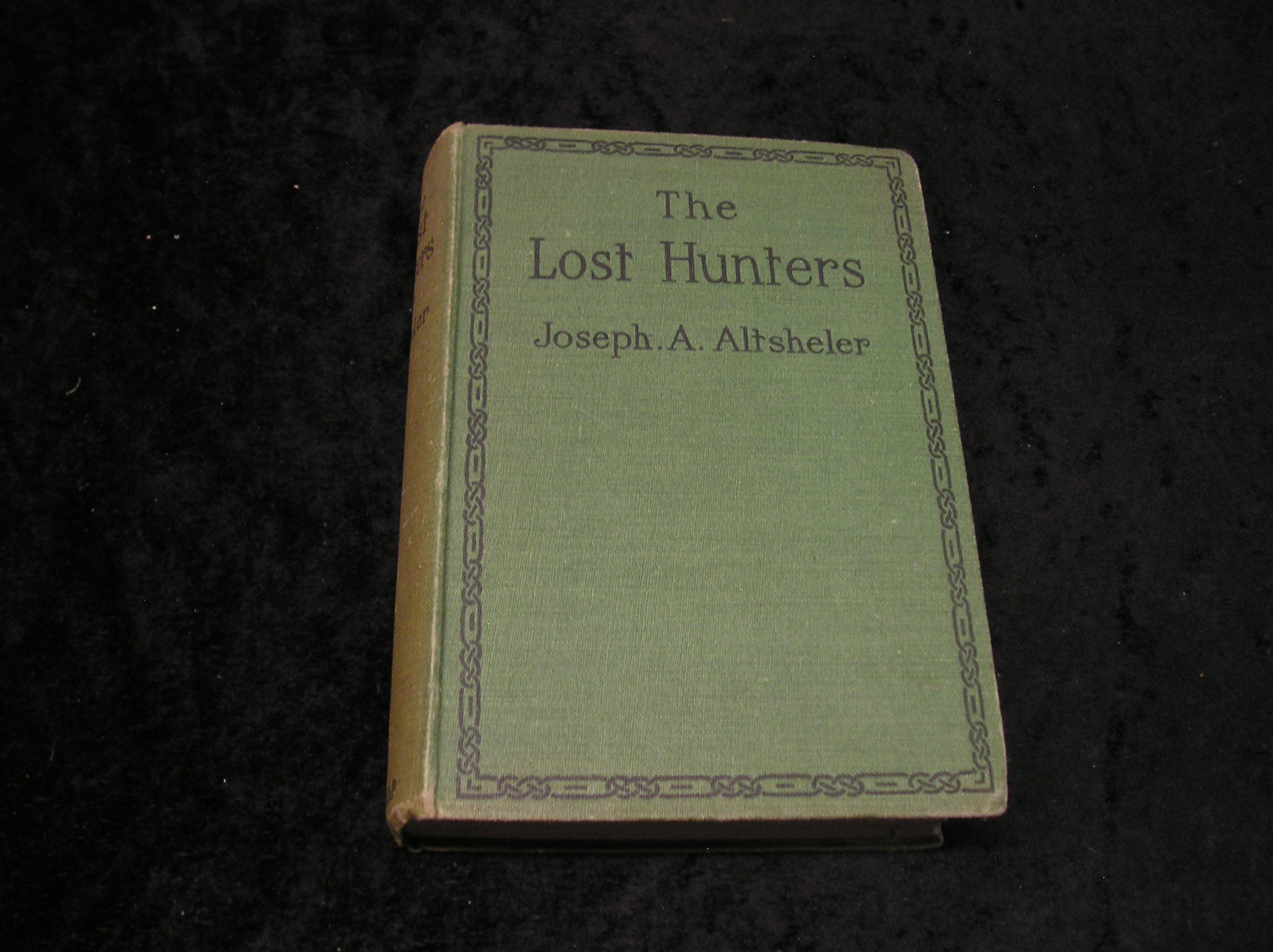 Image 0 of The Lost Hunters