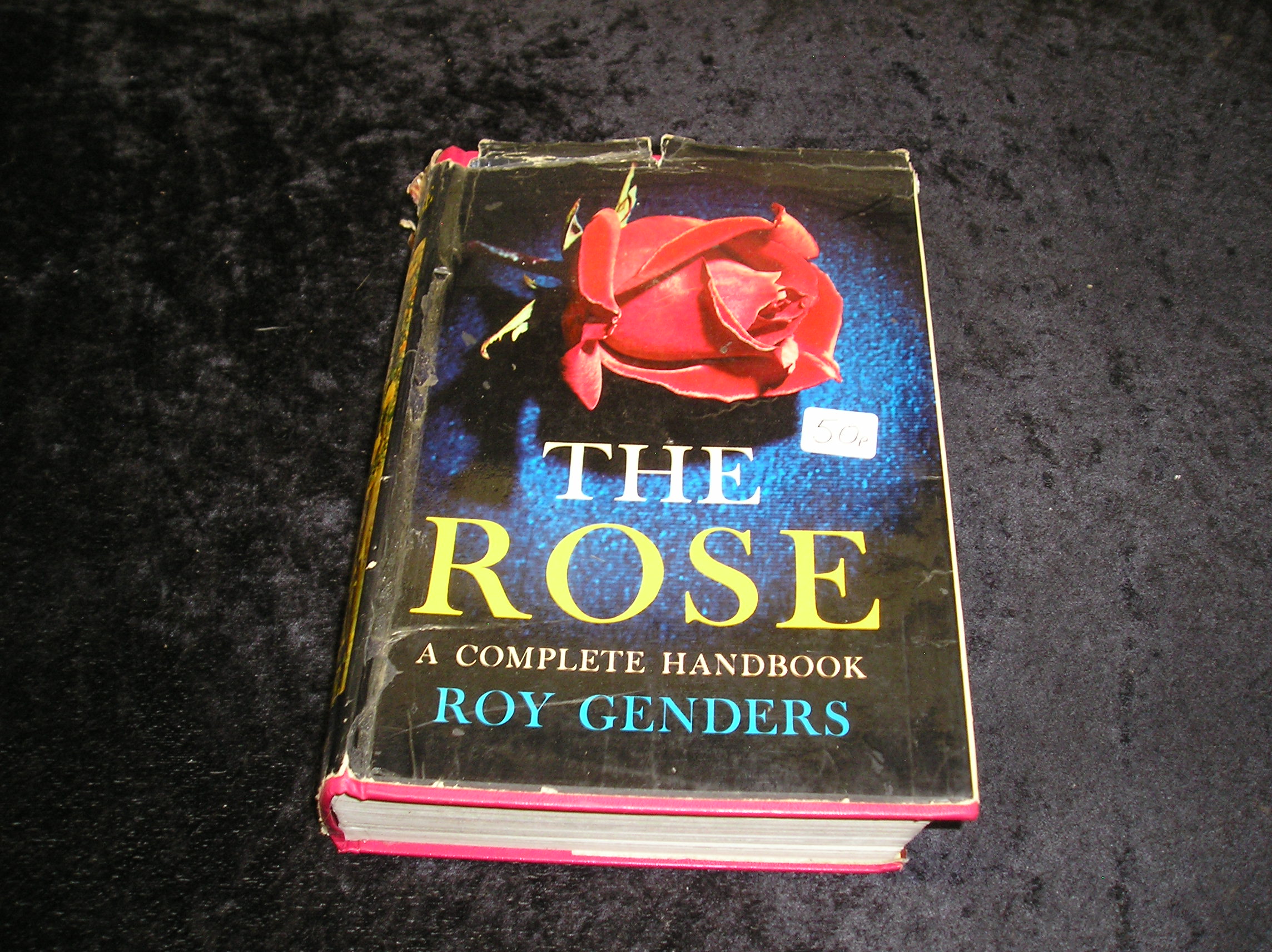 Image 0 of The Rose