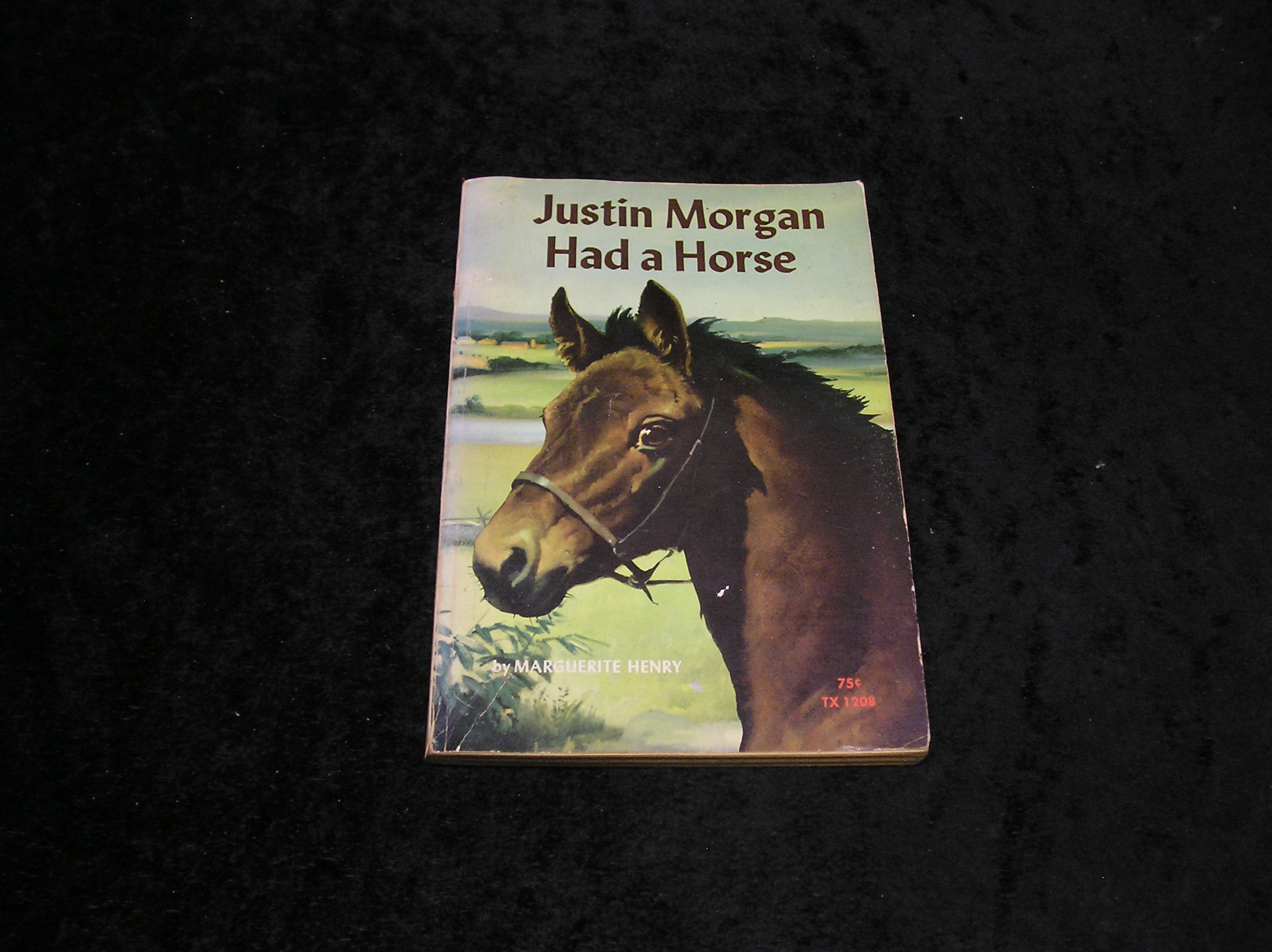 Image 0 of Justin Morgan Had a Horse
