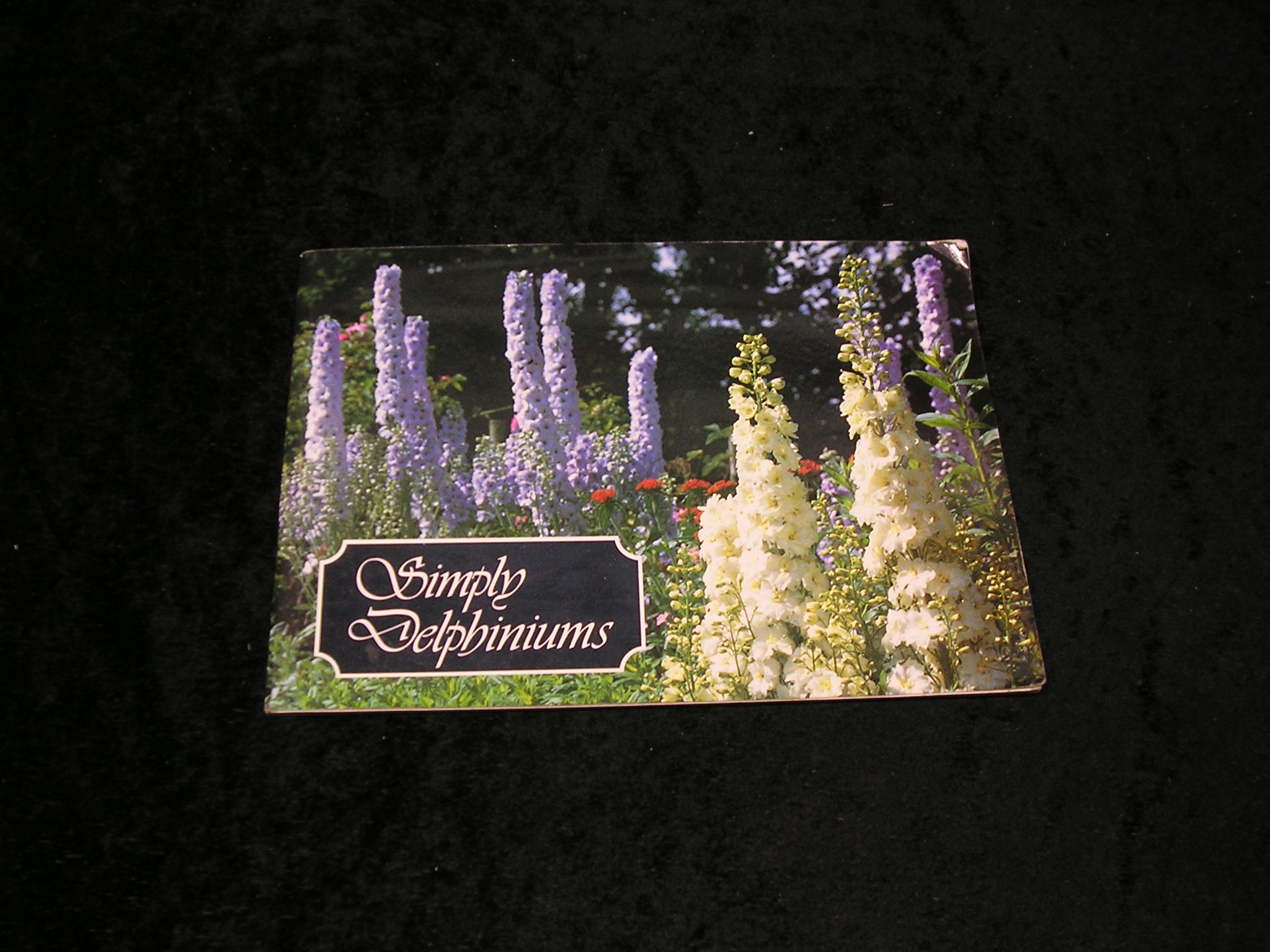 Image 0 of Simply Delphiniums