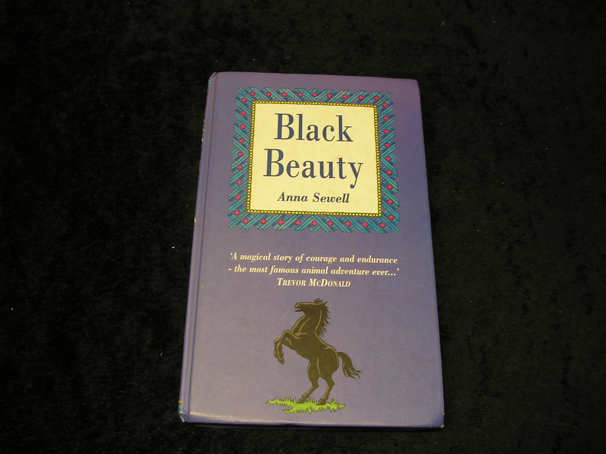 Image 0 of Black Beauty