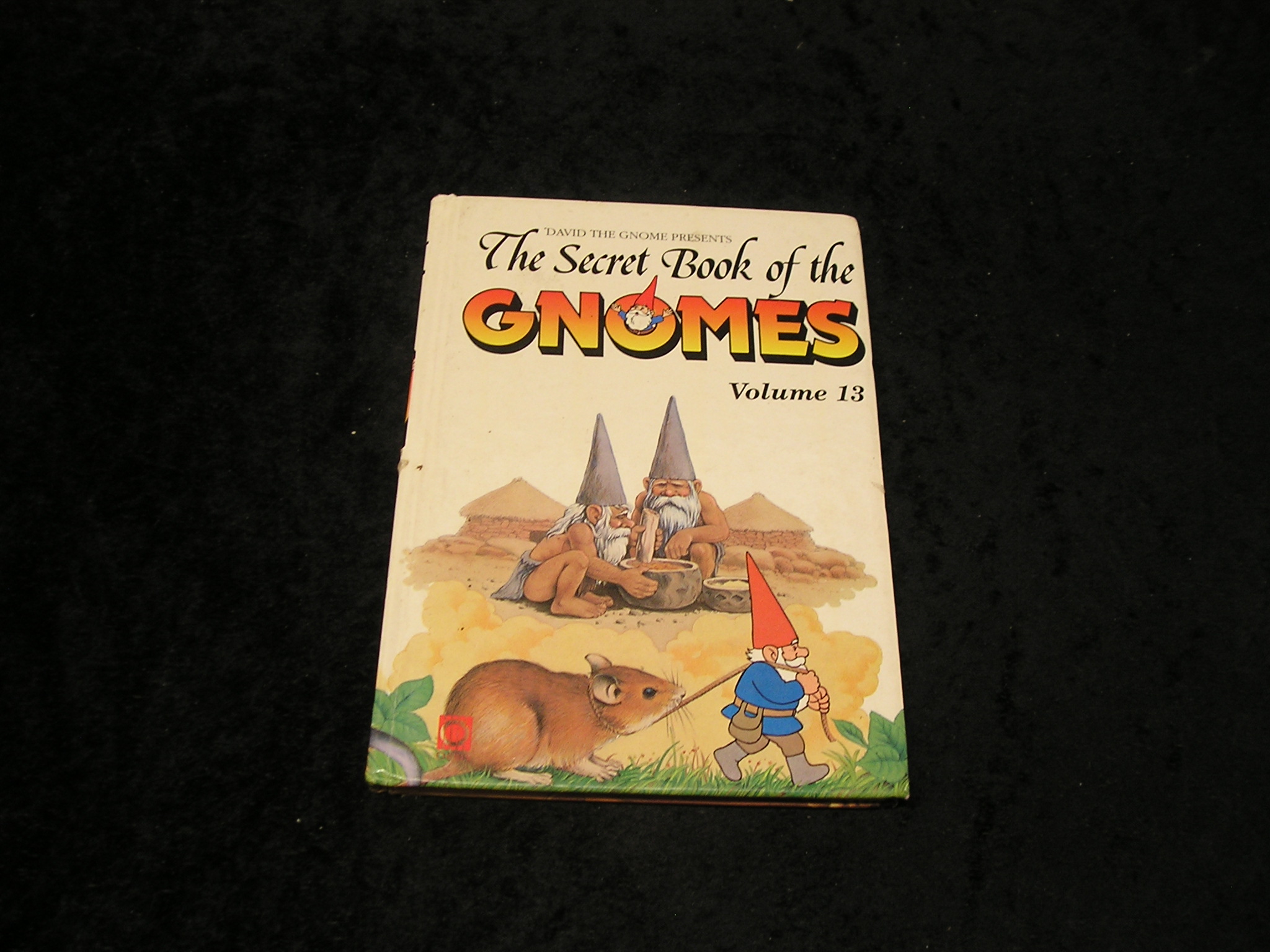 Image 0 of The Secret Book of the Gnomes Volume 13