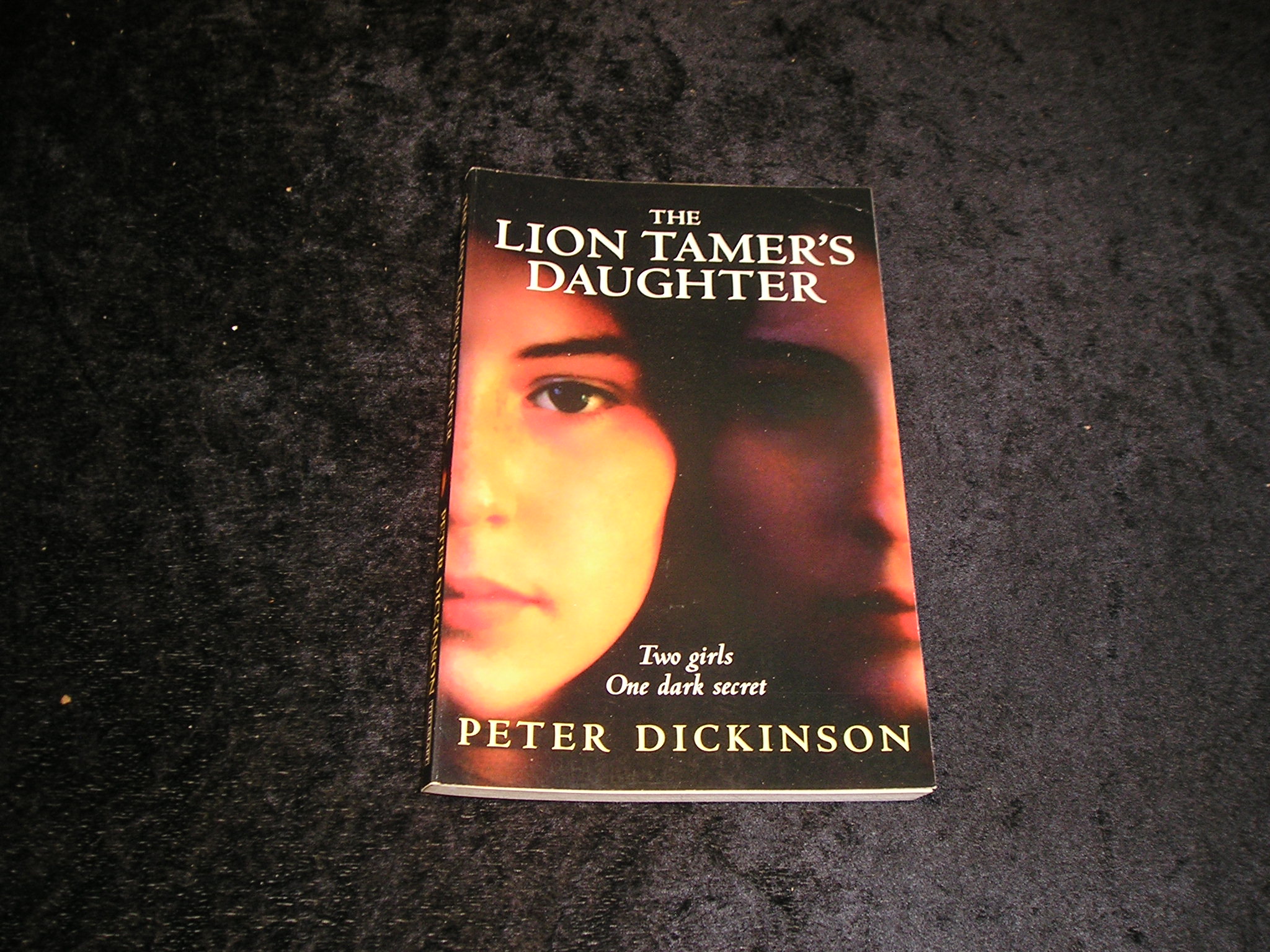 Image 0 of The Lion Tamer's Daughter