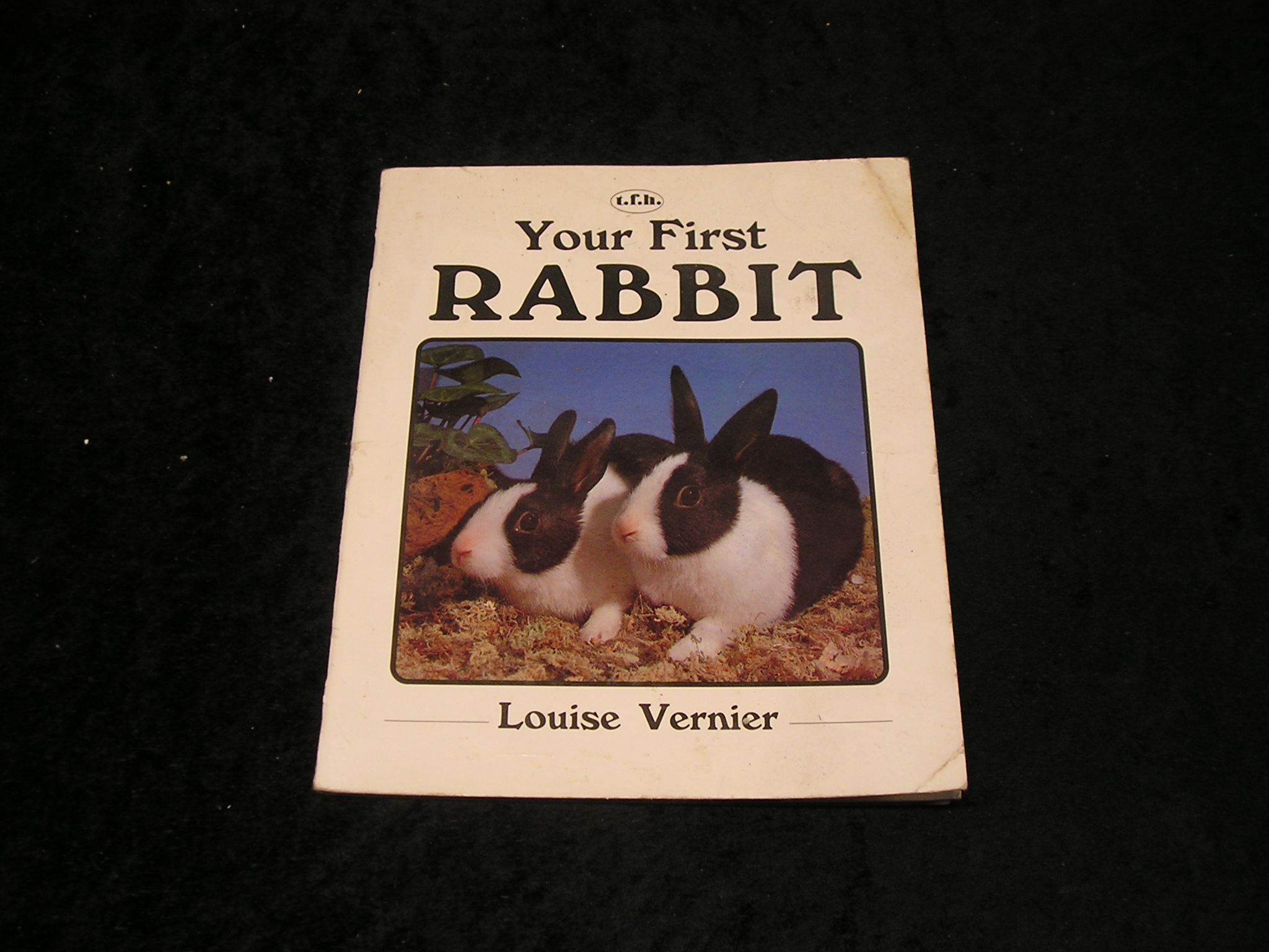 Image 0 of Your First Rabbit
