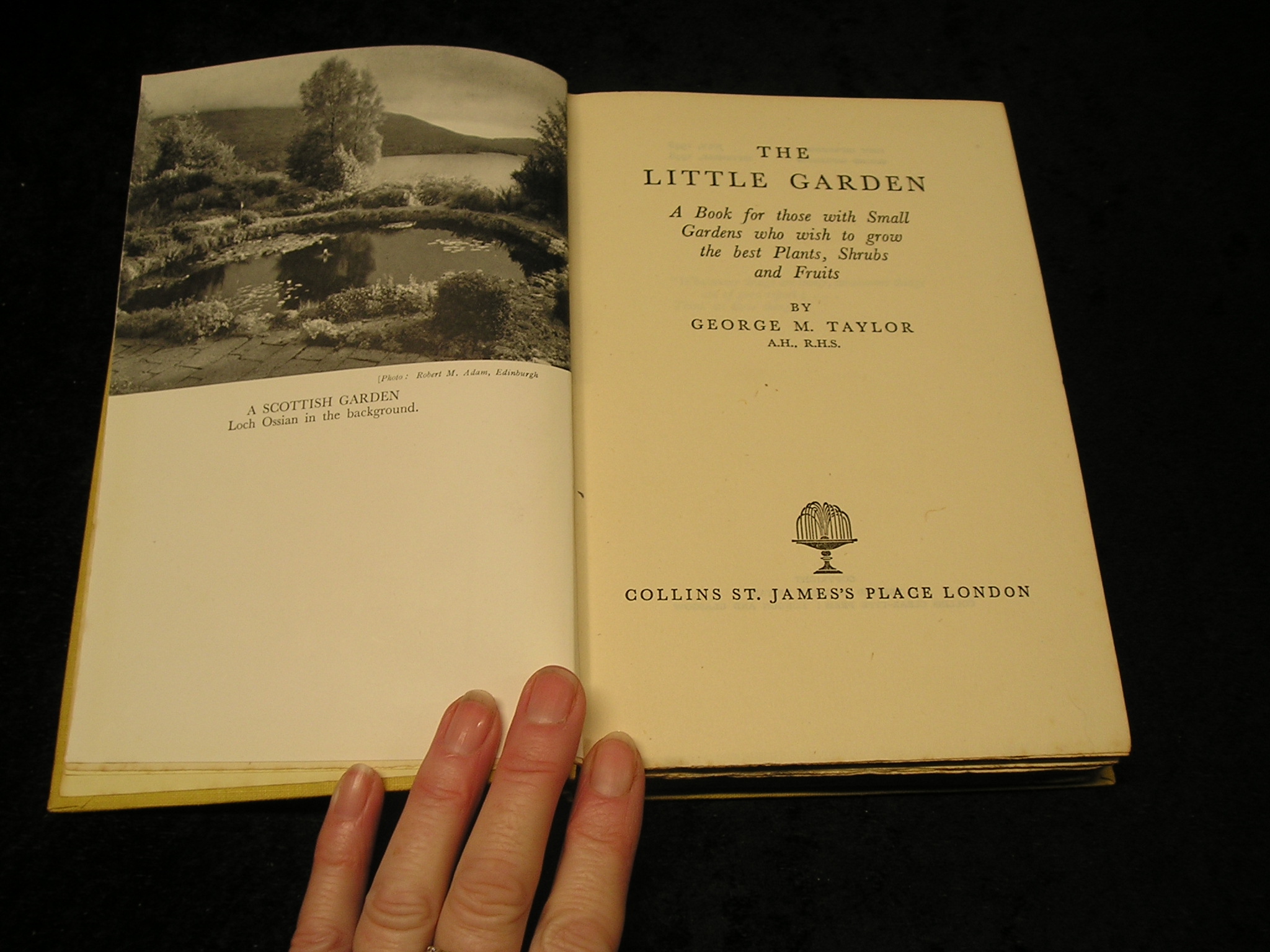 Image 0 of The Little Garden