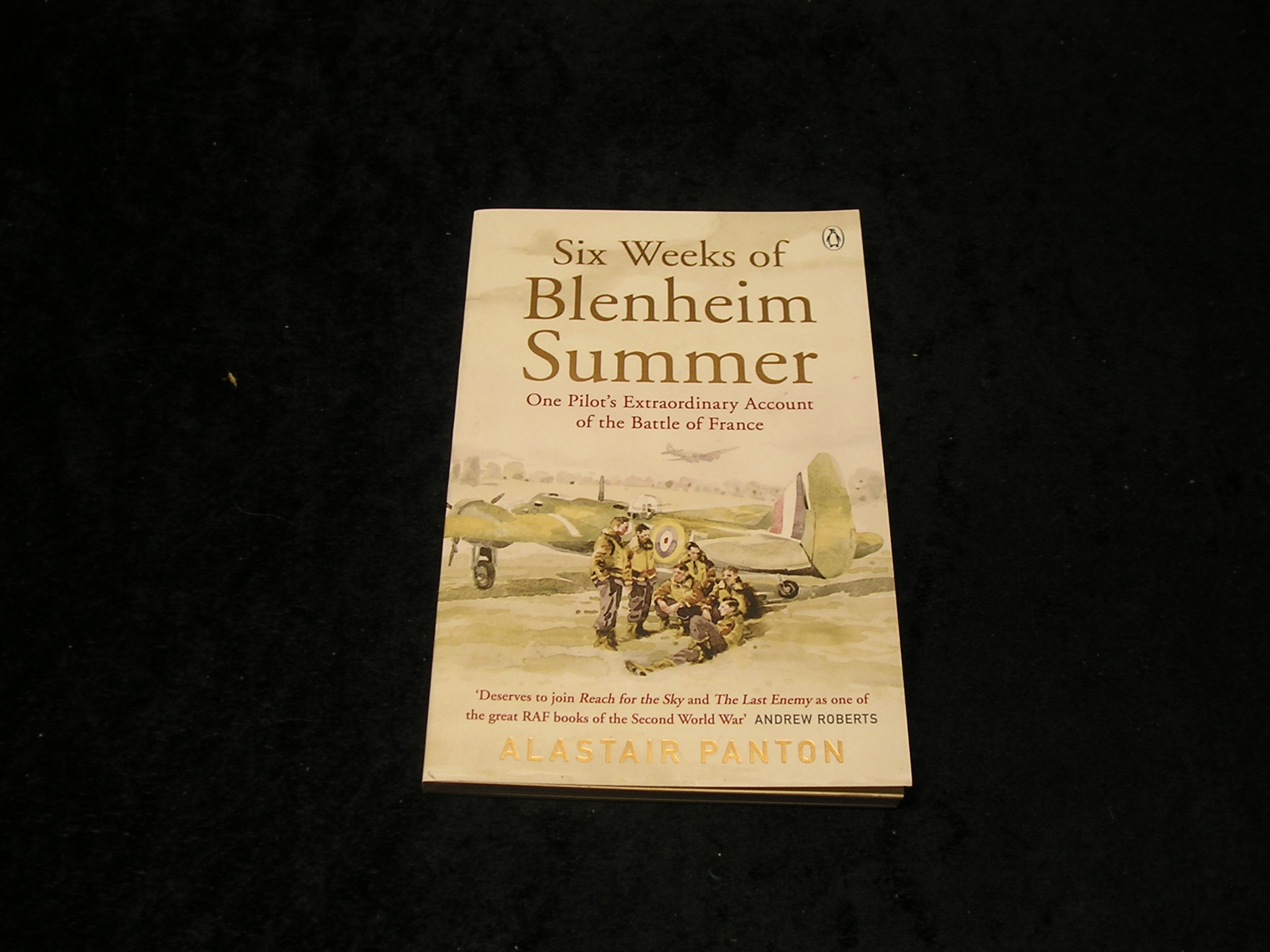 Image 0 of Six Weeks of Blenheim Summer
