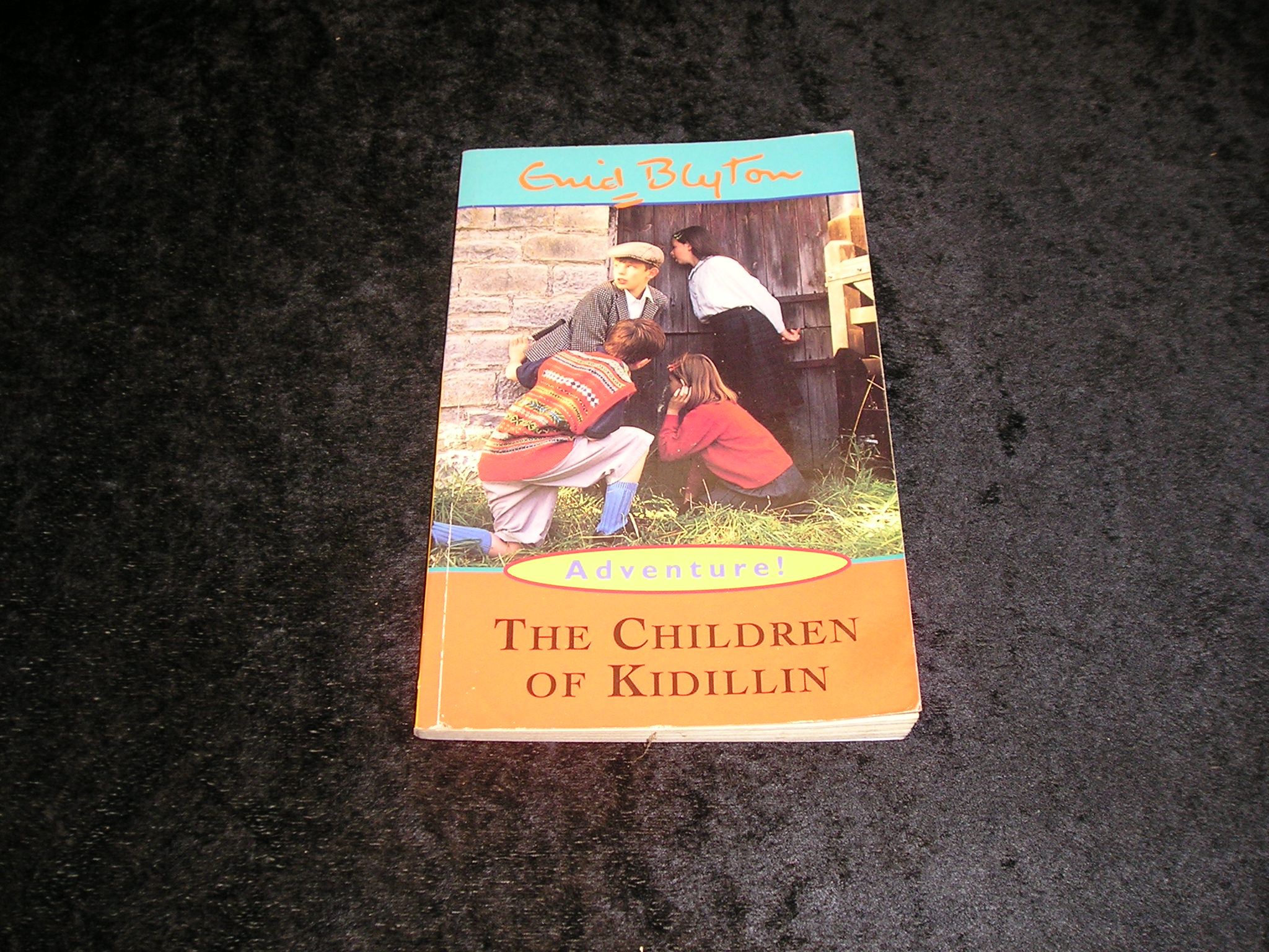Image 0 of The Children of Kidillin