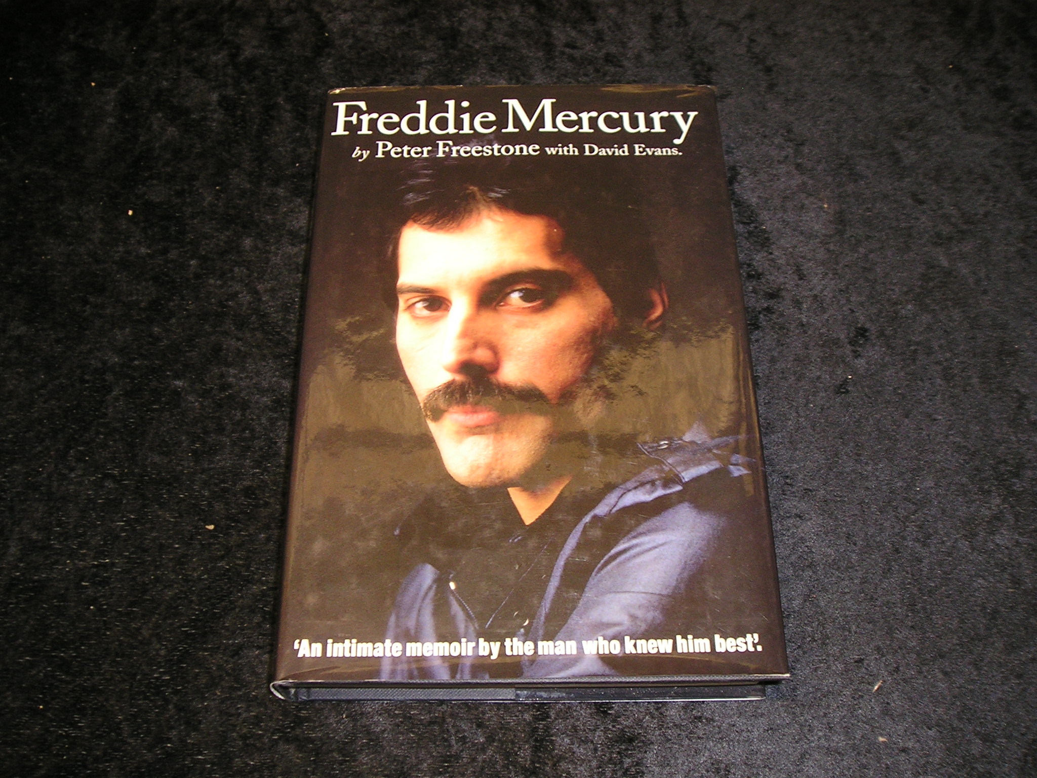 Image 0 of Freddie Mercury