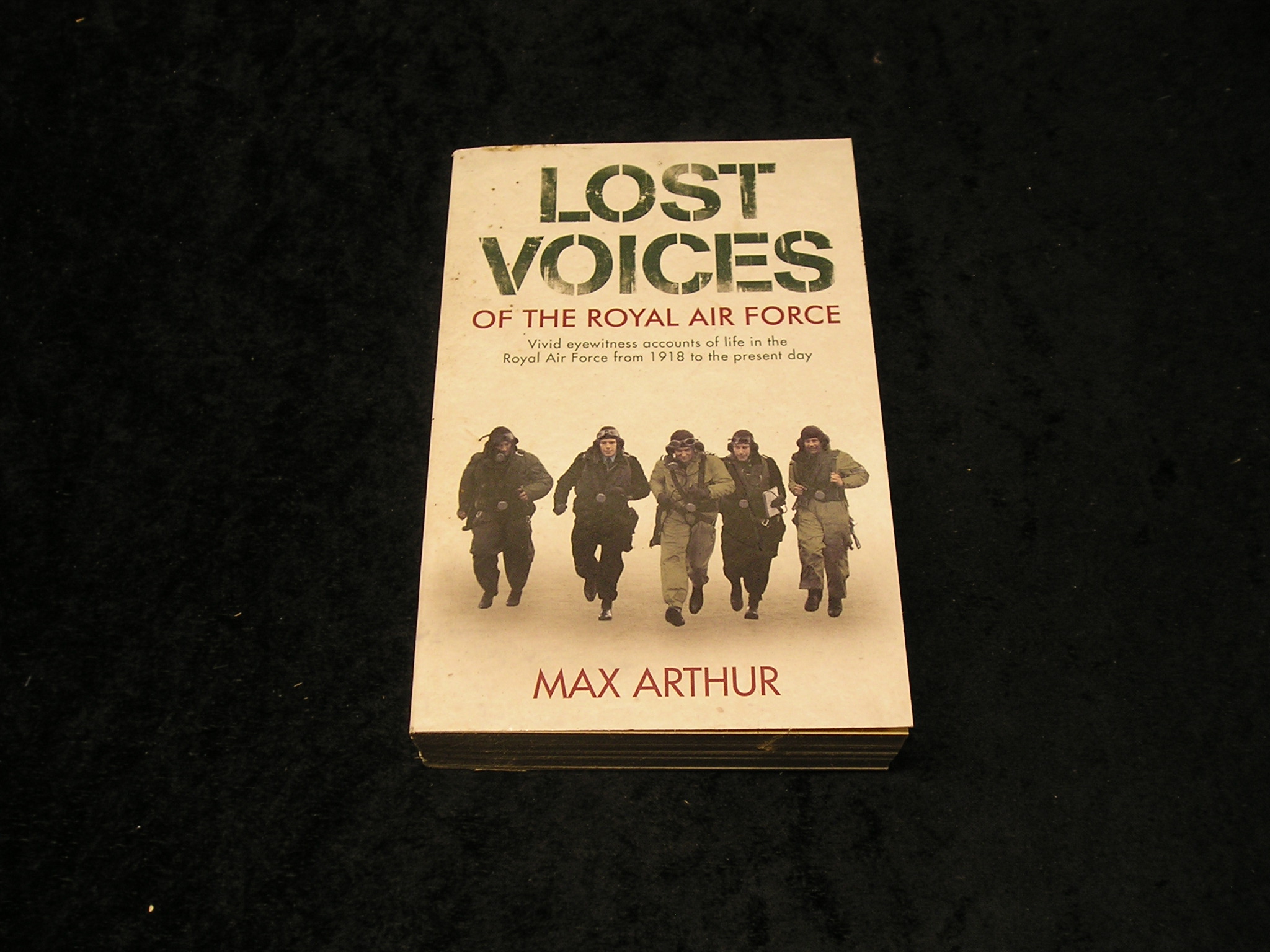 Image 0 of Lost Voices