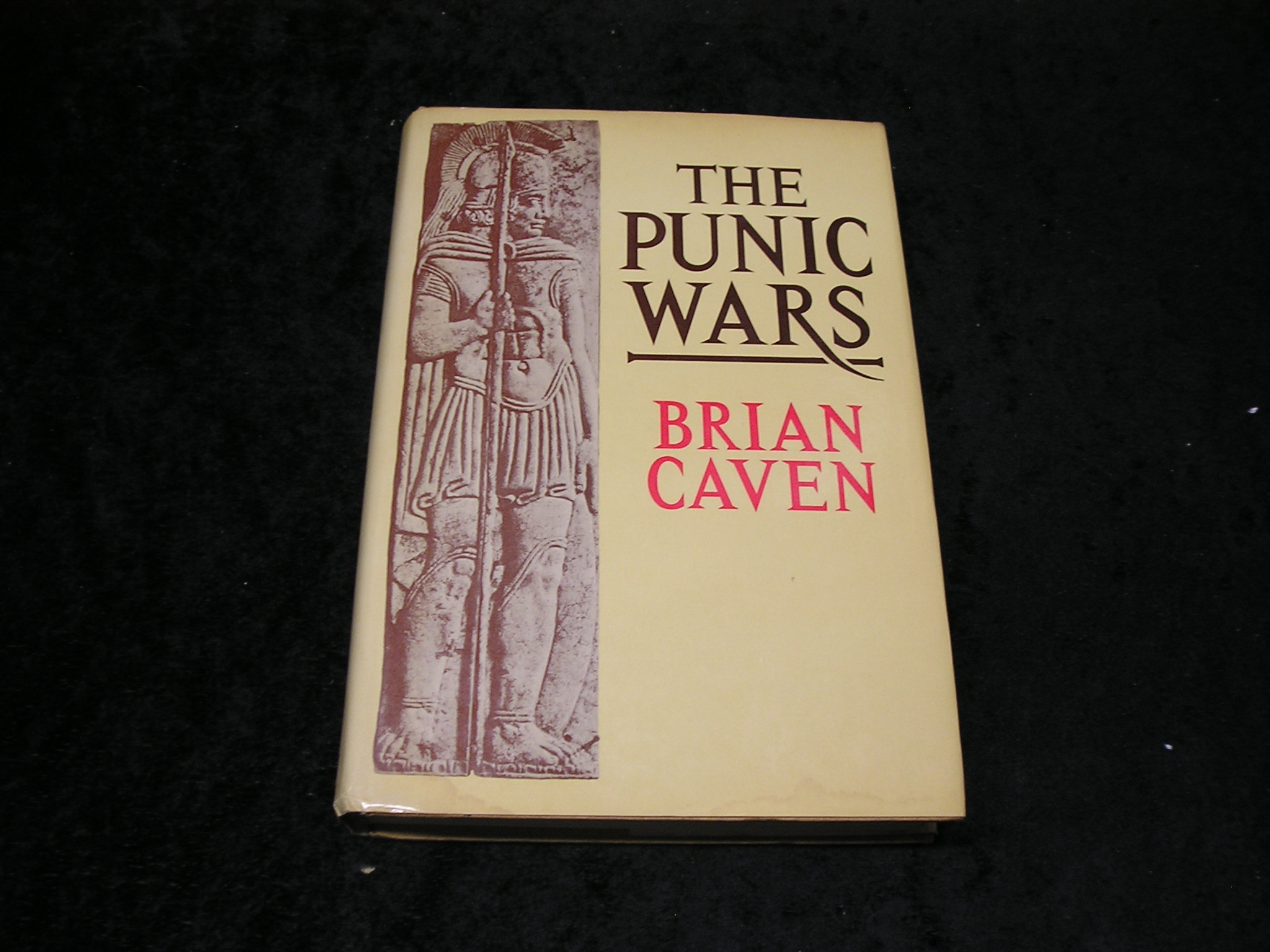 Image 0 of The Punic Wars