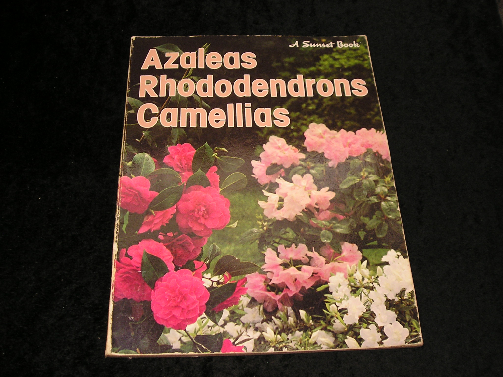 Image 0 of Azaleas Rhododendrons Camellias