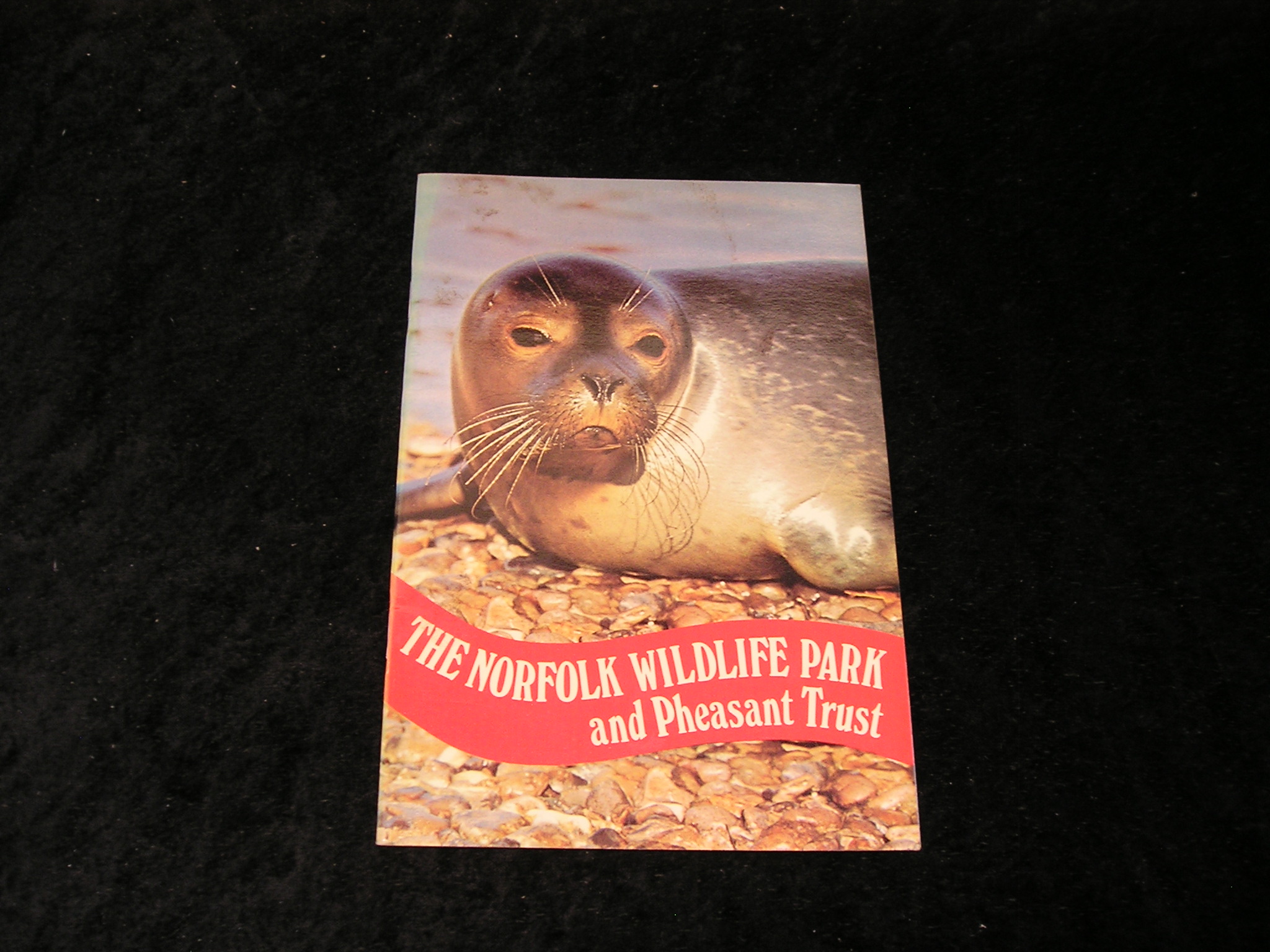 Image 0 of The Norfolk Wildlife Park and Pheasant Trust