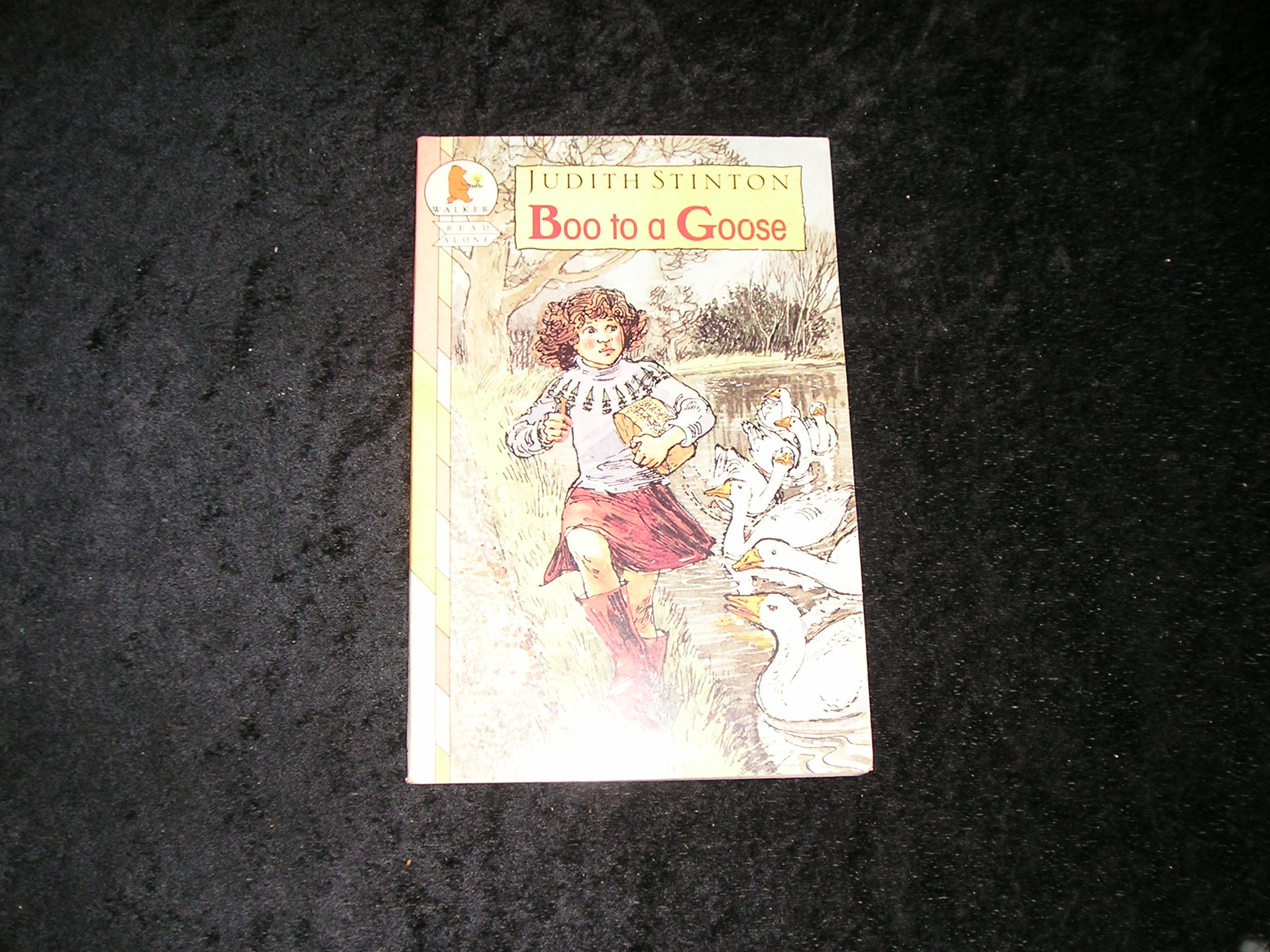 Image 0 of Boo to a Goose