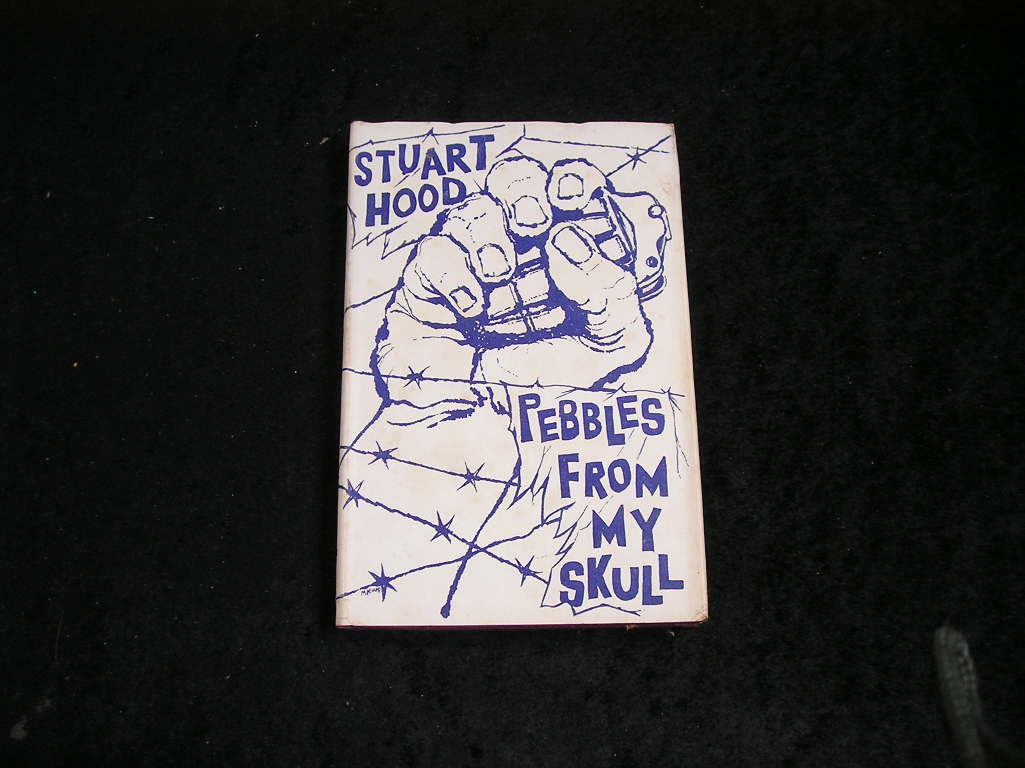 Image 0 of Pebbles From My Skull