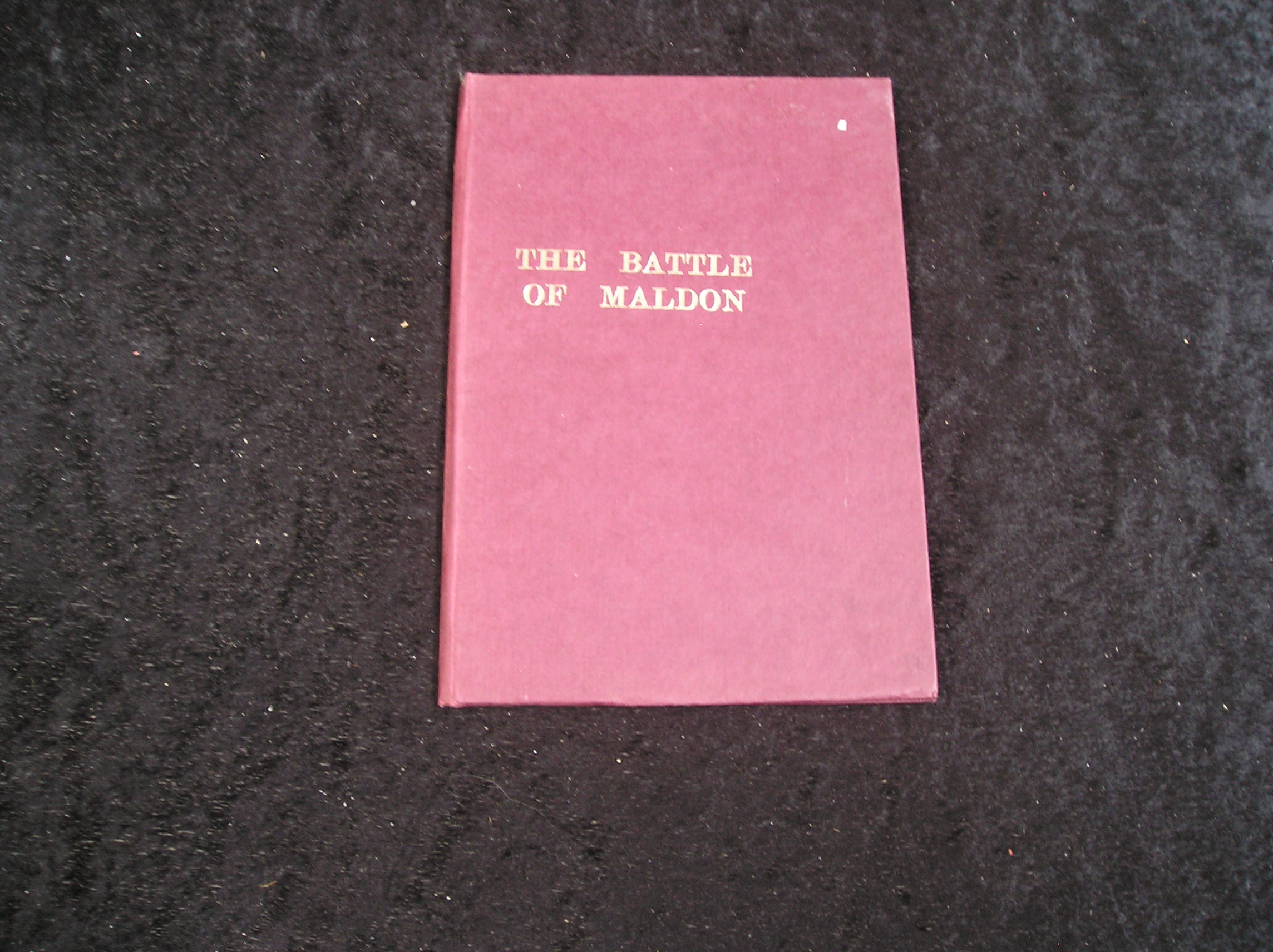 Image 0 of The Battle of Maldon
