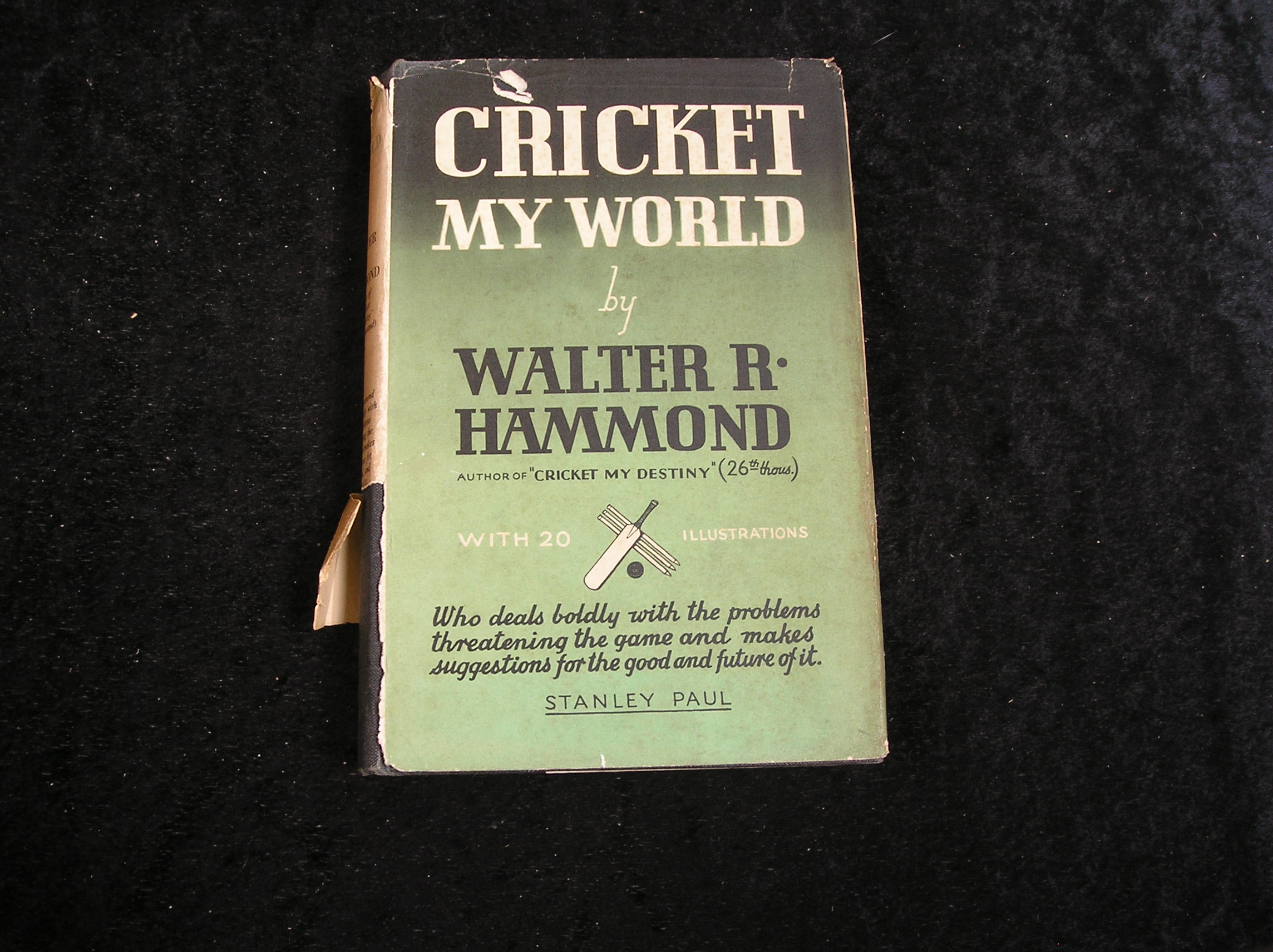Image 0 of Cricket My World