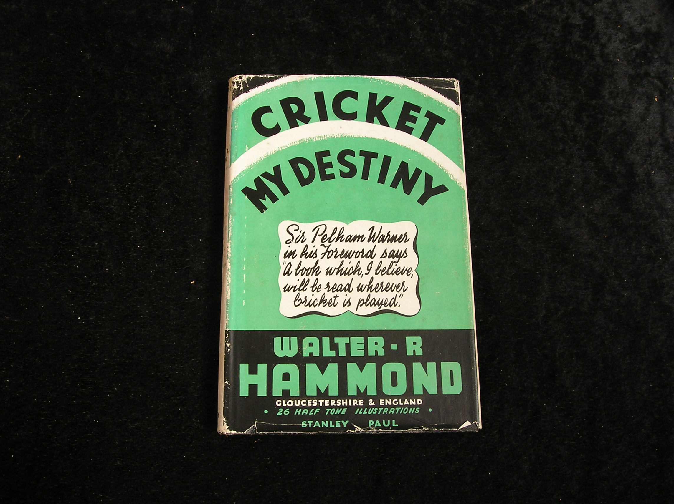 Image 0 of Cricket My Destiny