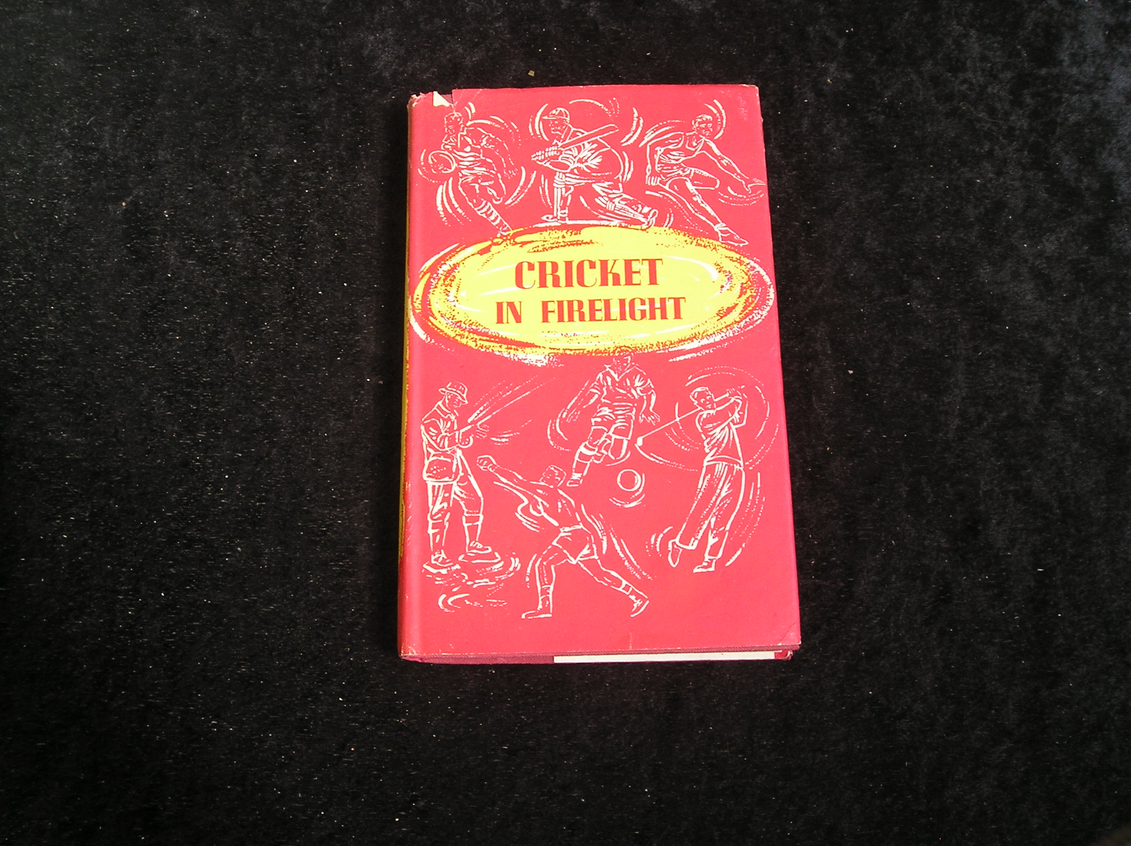 Image 0 of Cricket in Firelight