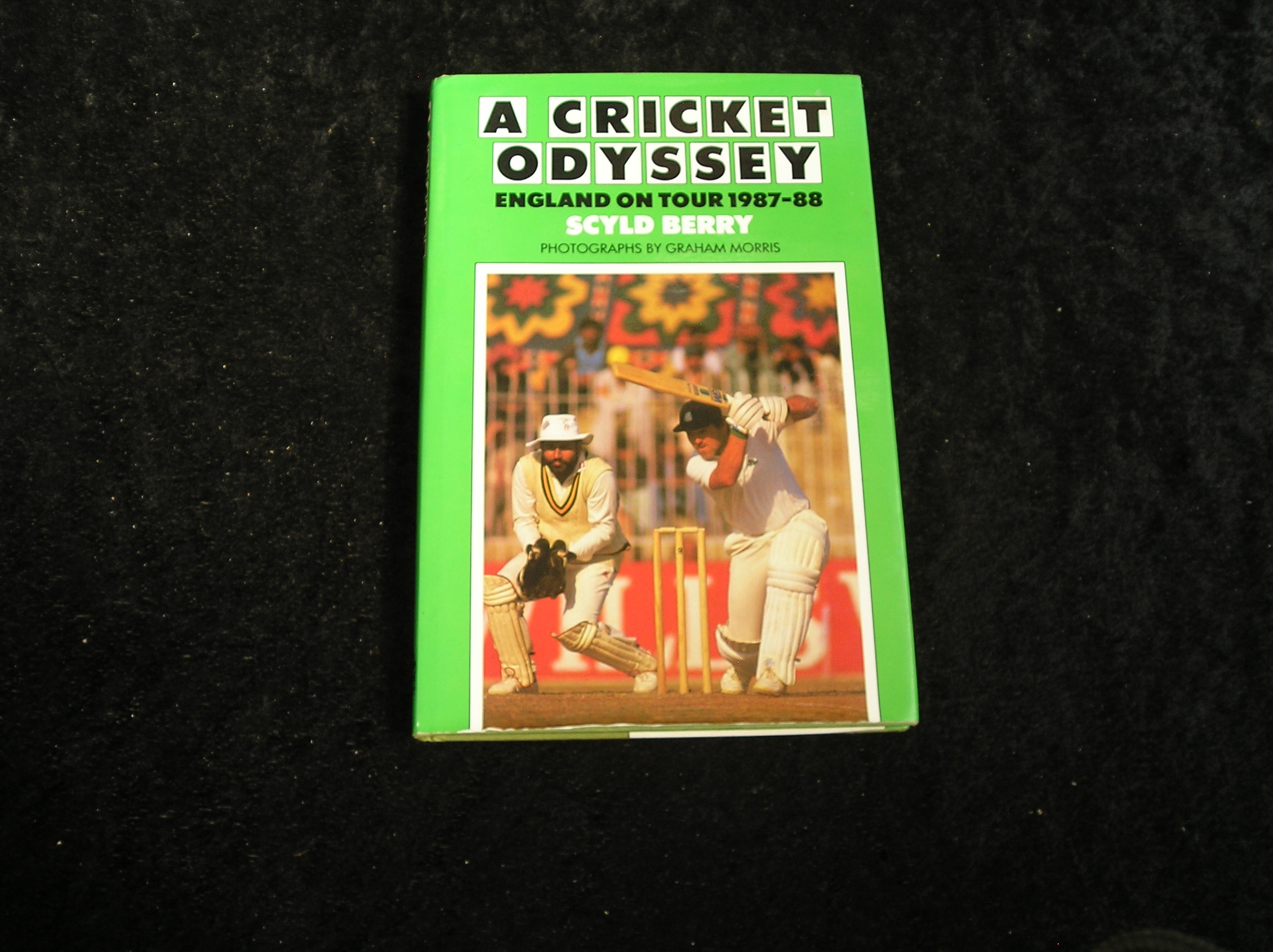 Image 0 of A Cricket Odyssey