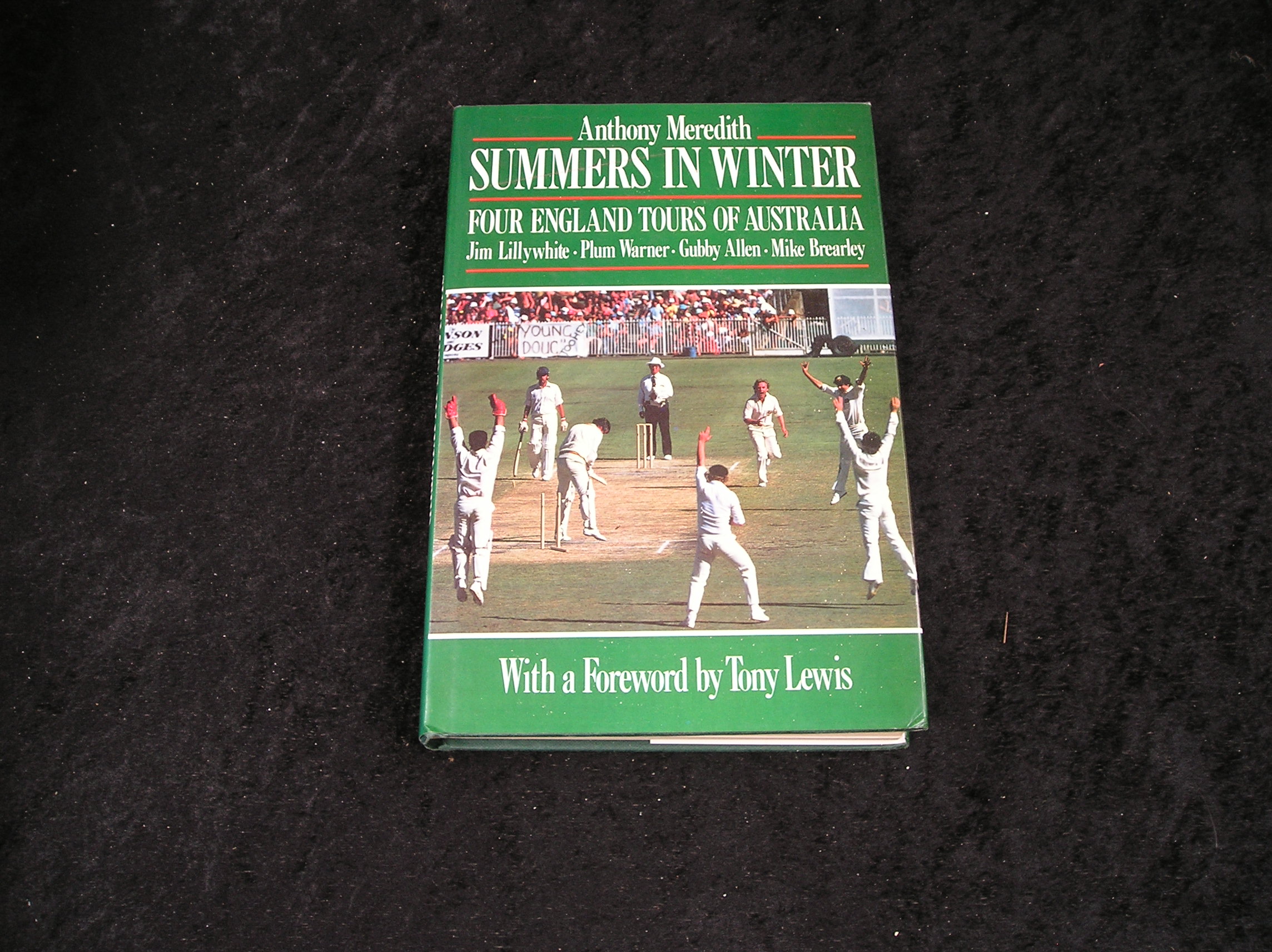 Image 0 of Summers in Winter
