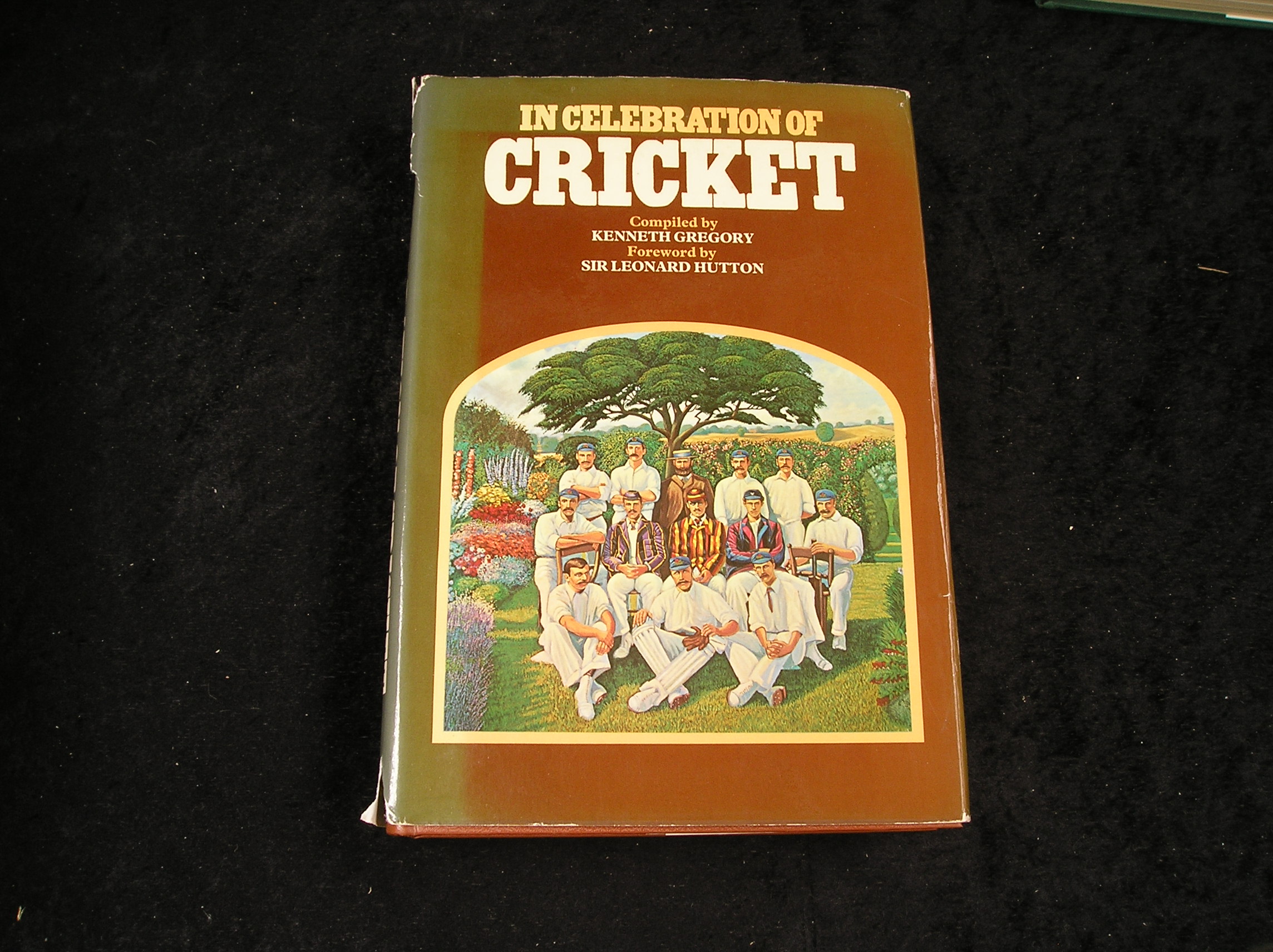 Image 0 of In Celebration of Cricket