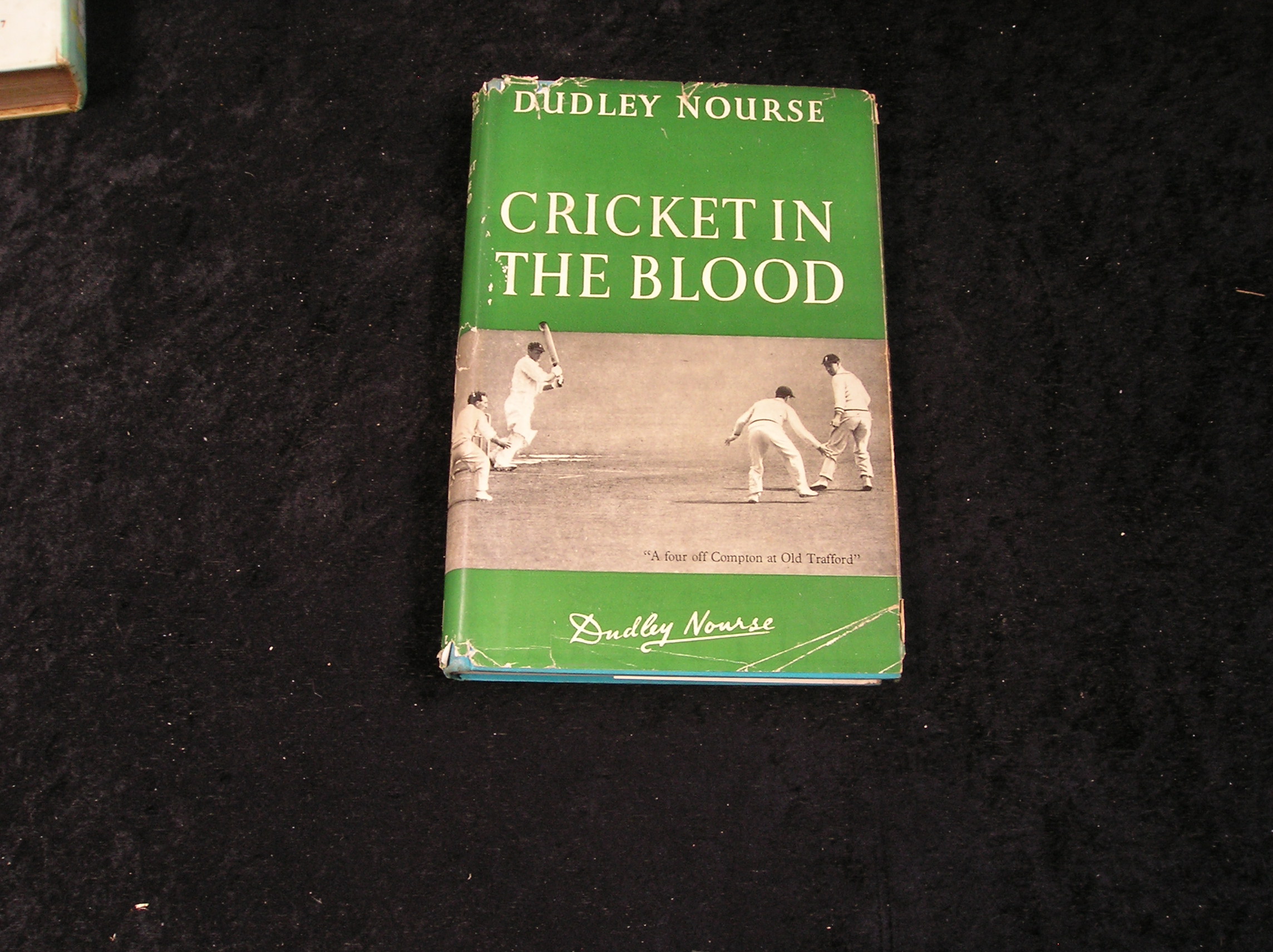 Image 0 of Cricket in the Blood