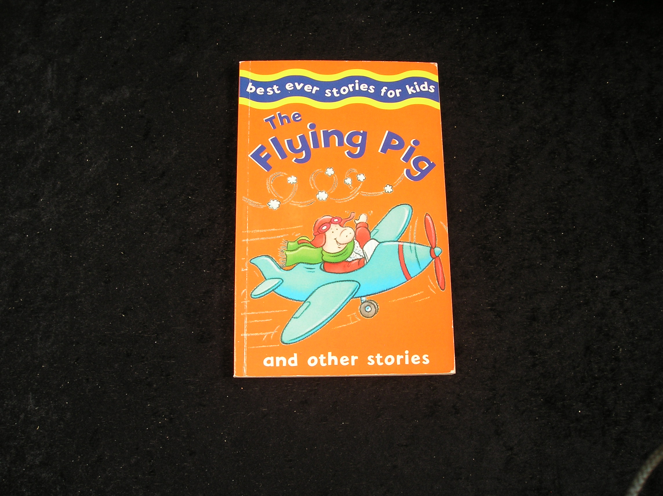 Image 0 of The Flying Pig