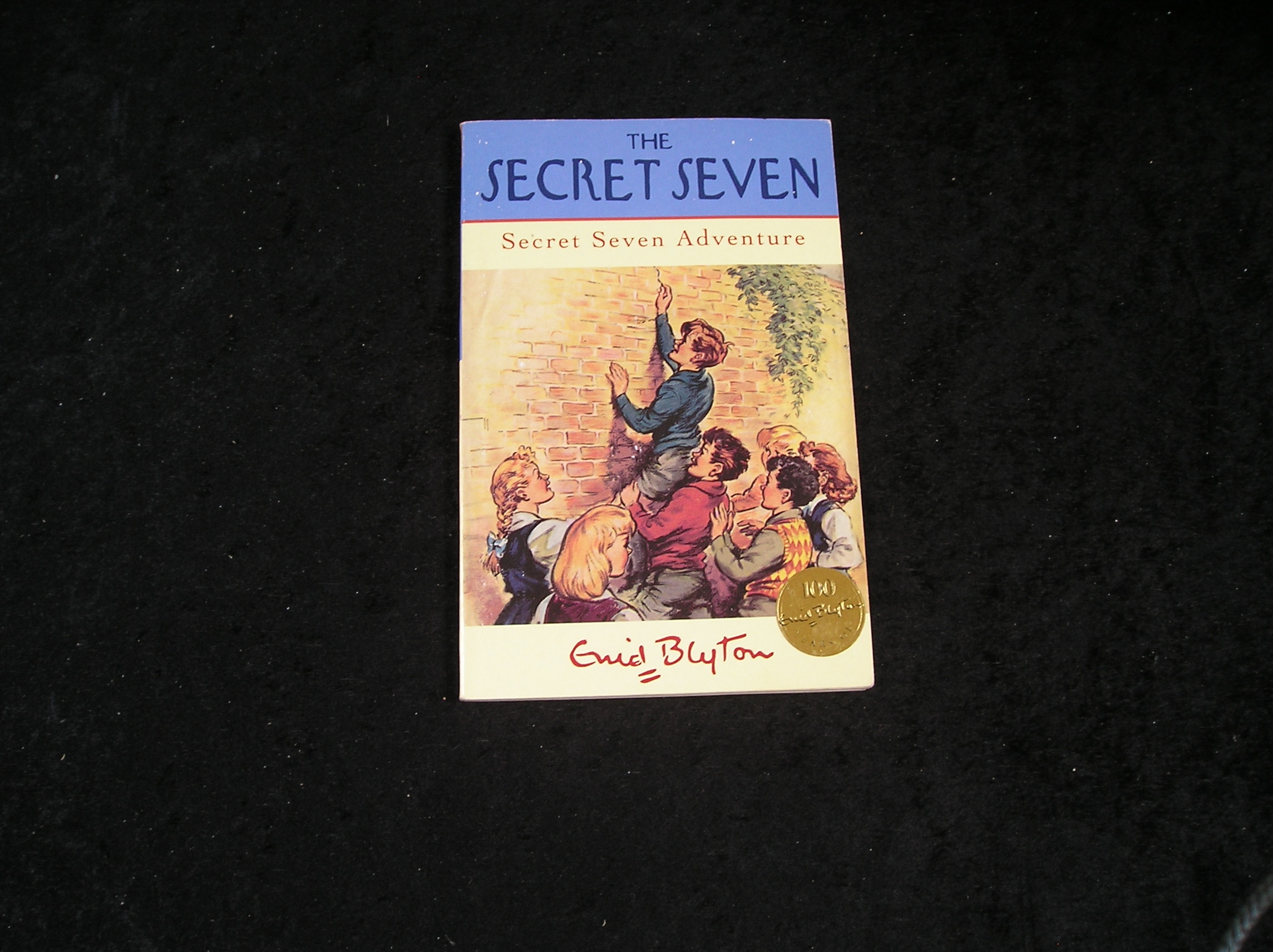 Image 0 of Secret Seven Adventure