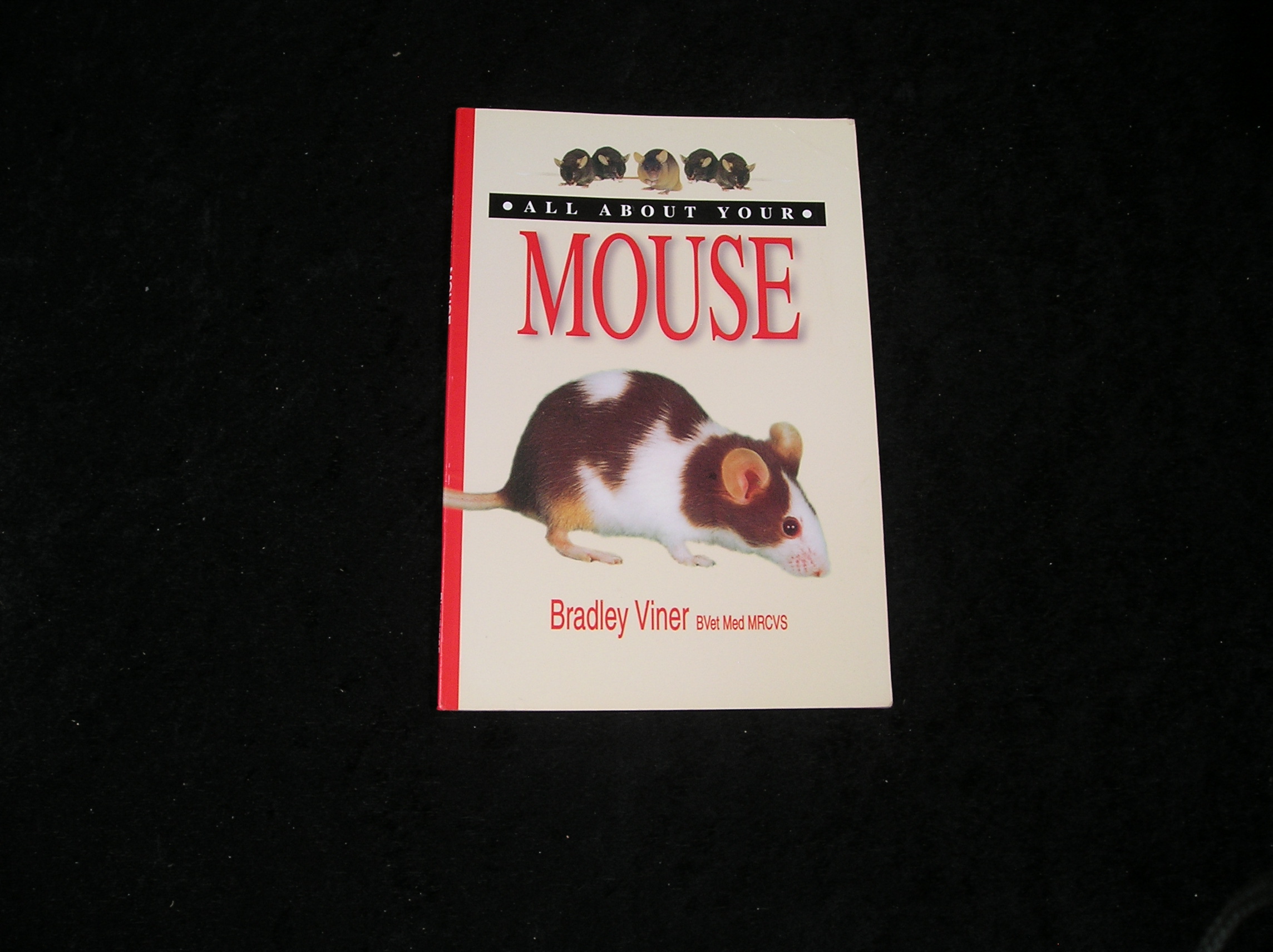 Image 0 of All About Your Mouse