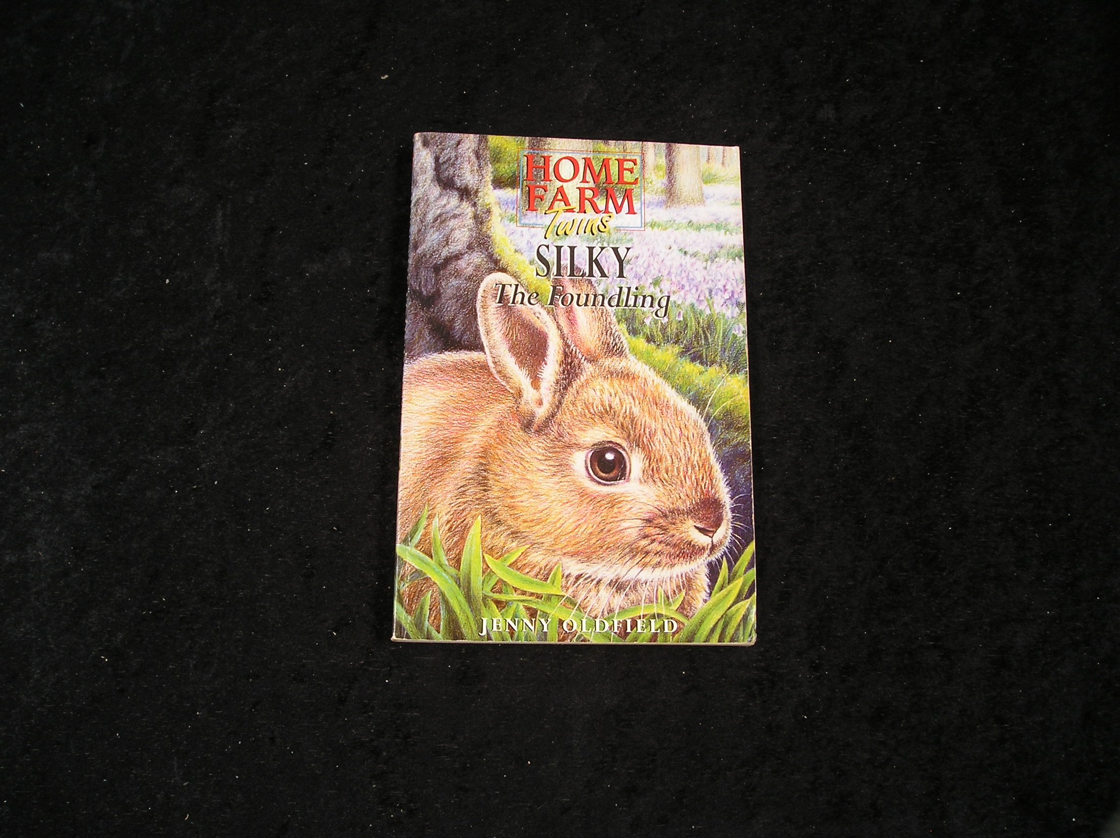 Image 0 of Silky the Foundling