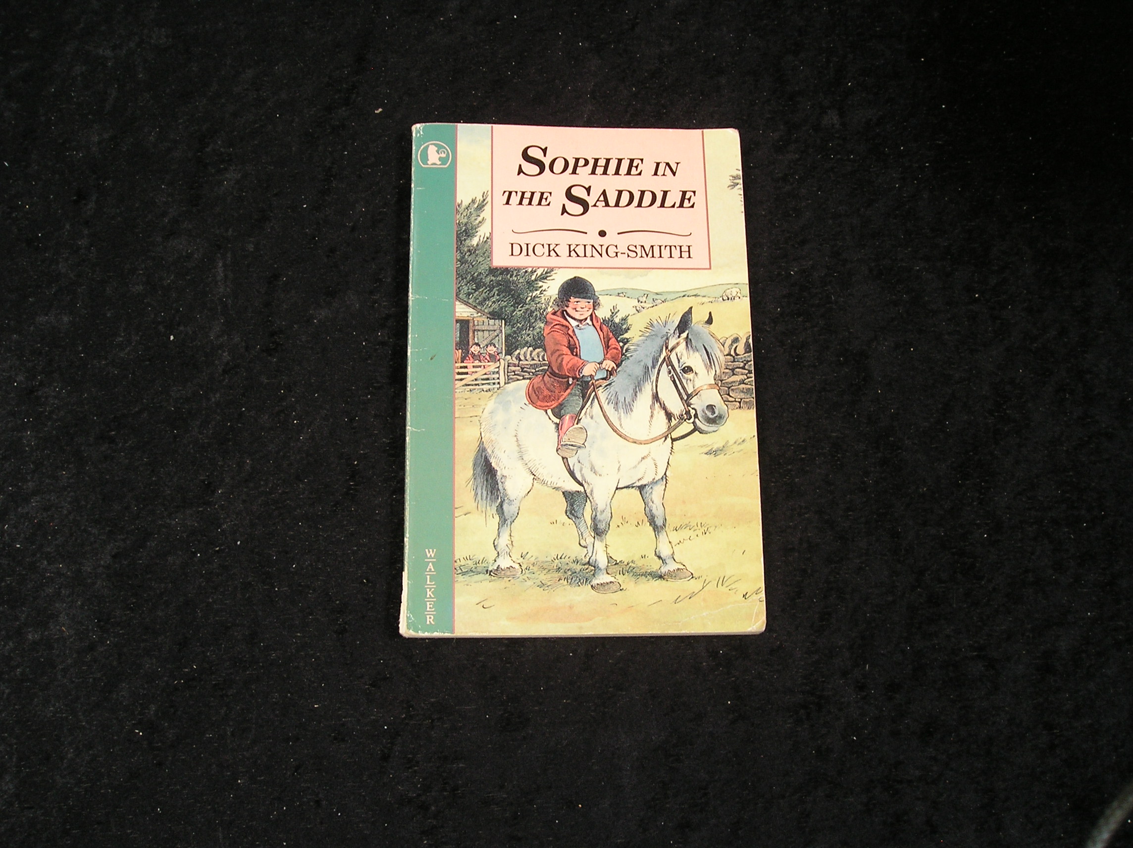Image 0 of Sophie in the Saddle