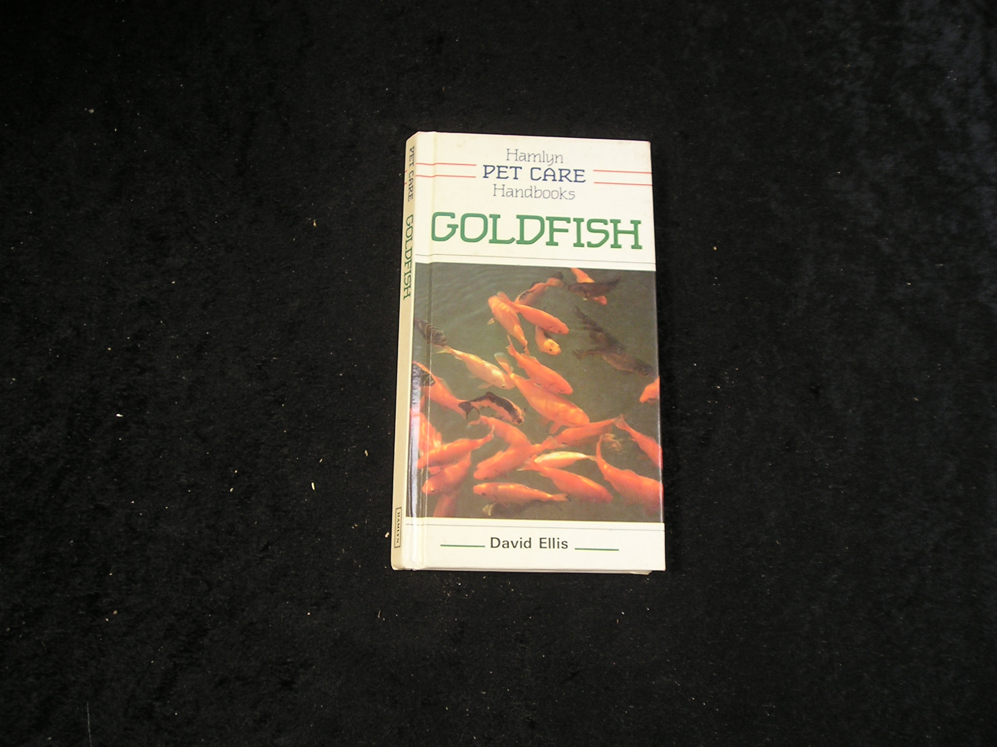Image 0 of Goldfish