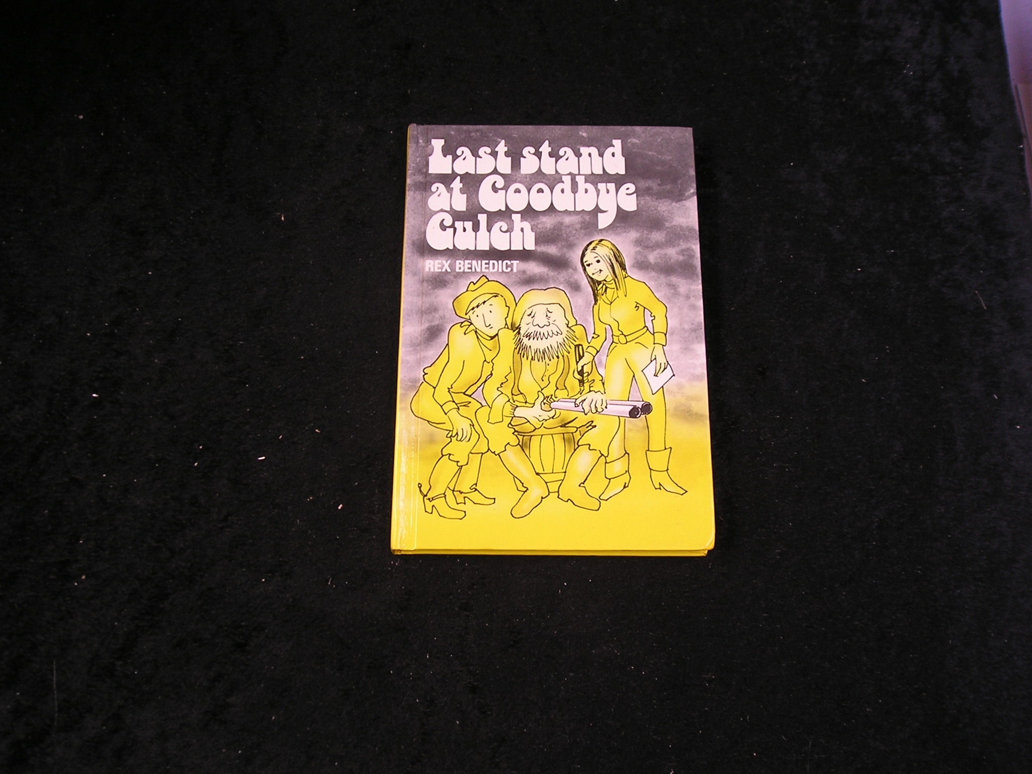 Image 0 of Last Stand at Goodbye Gulch