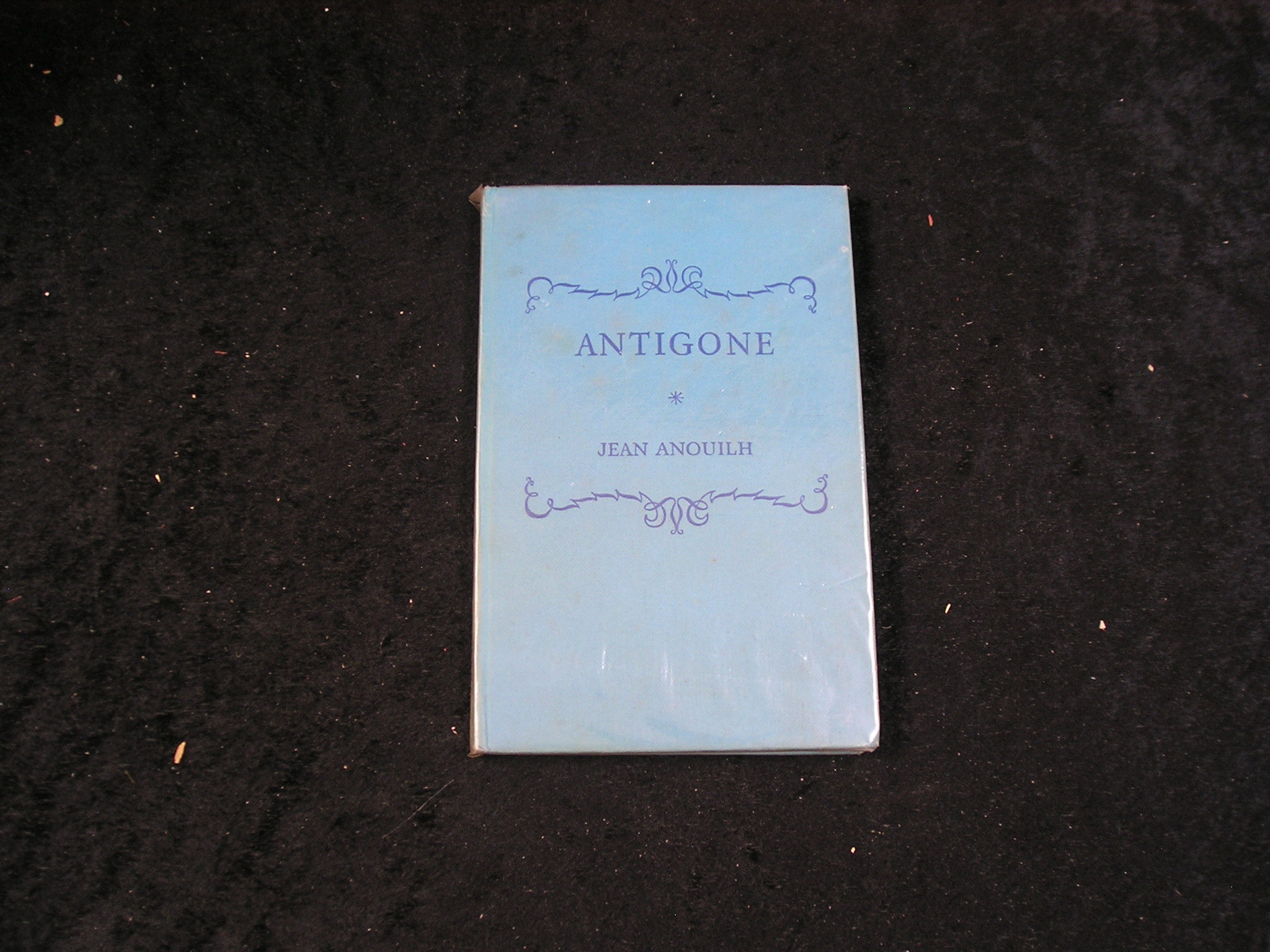 Image 0 of Anigone
