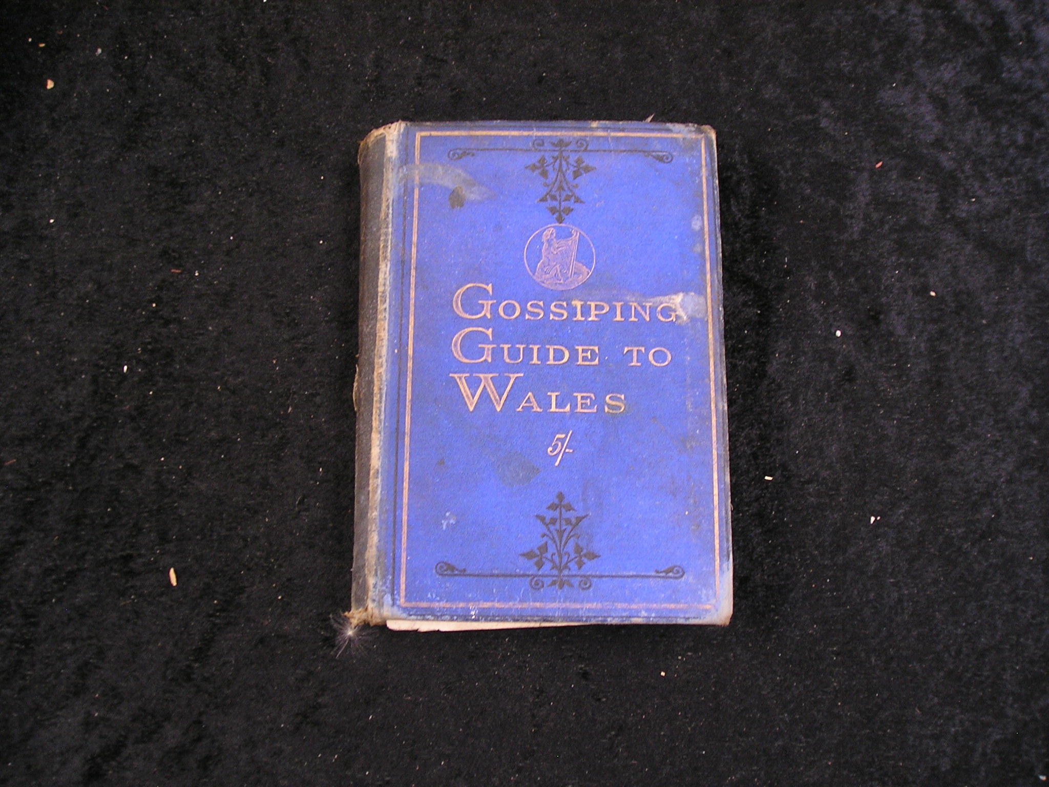 Image 0 of The Gossiping Guide to Wales