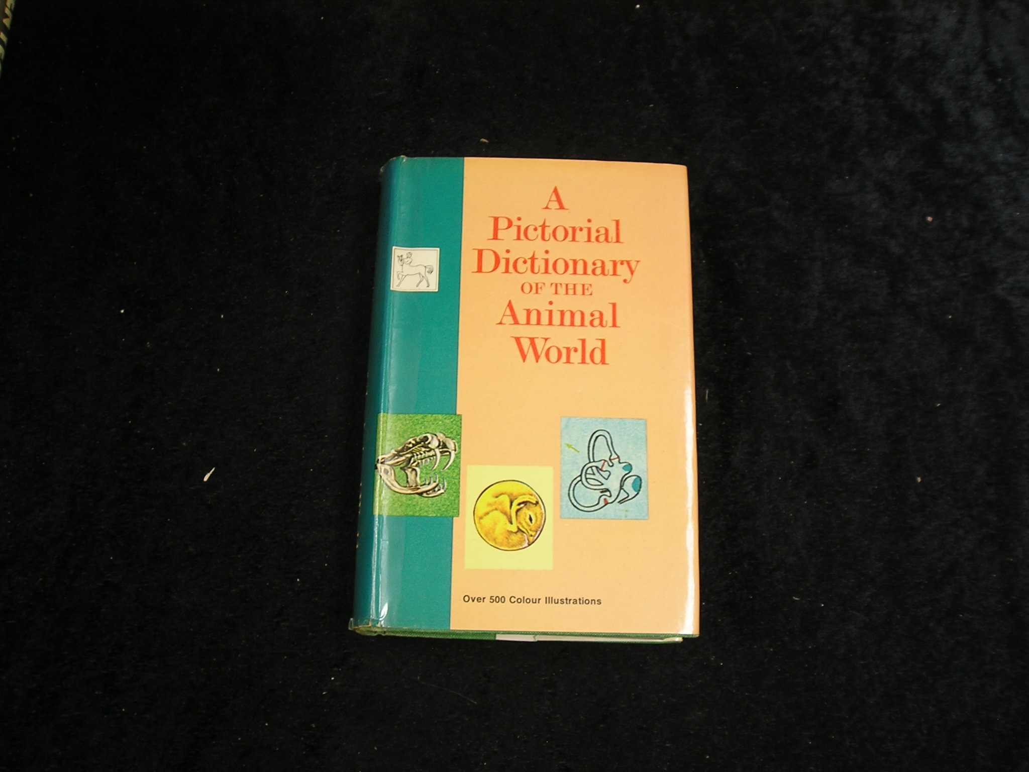 A Pictorial Dictionary of the Animal World