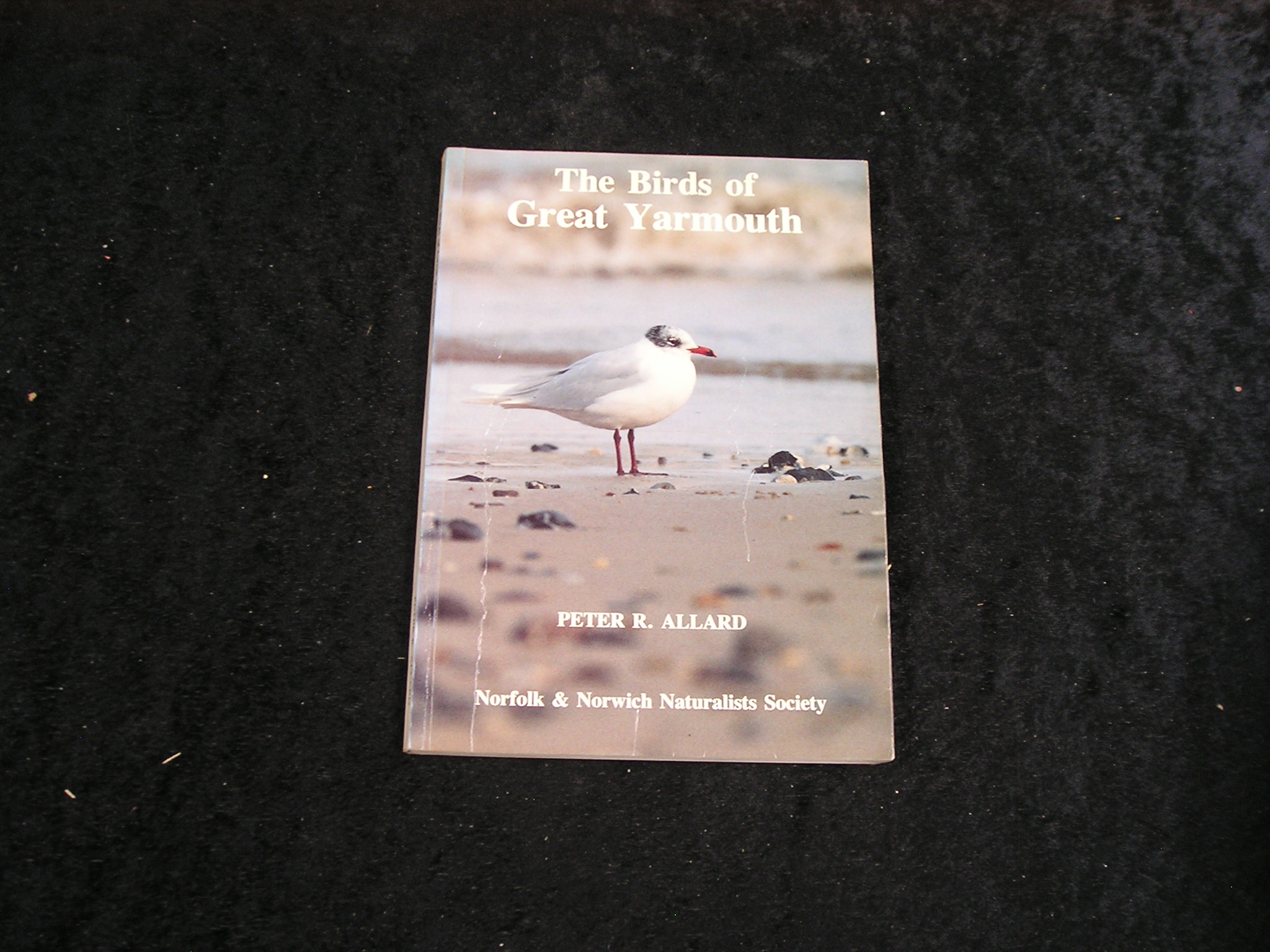 Image 0 of The Birds of Great Yarmouth
