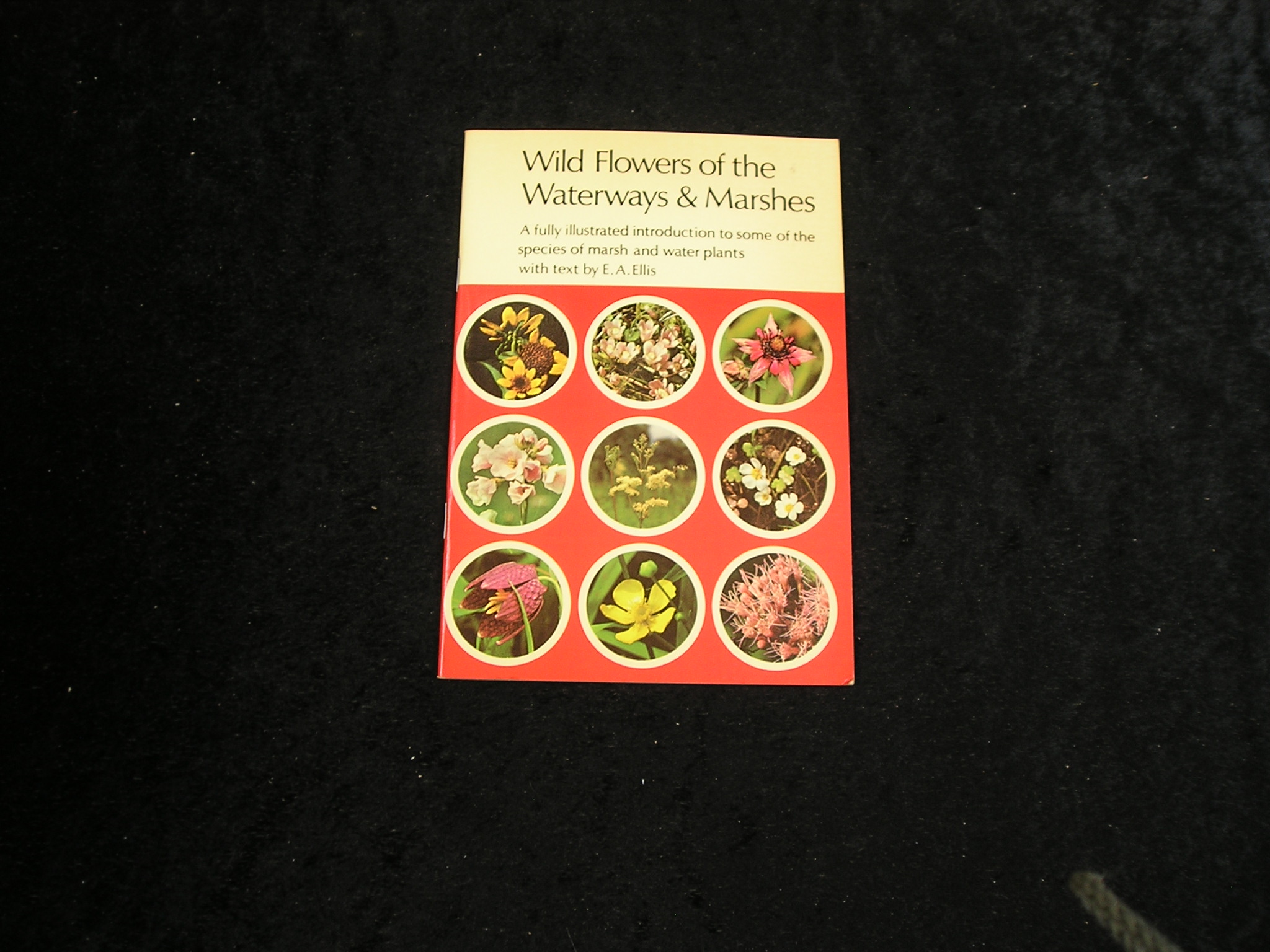 Image 0 of Wild Flowers of the Waterways & Marshes