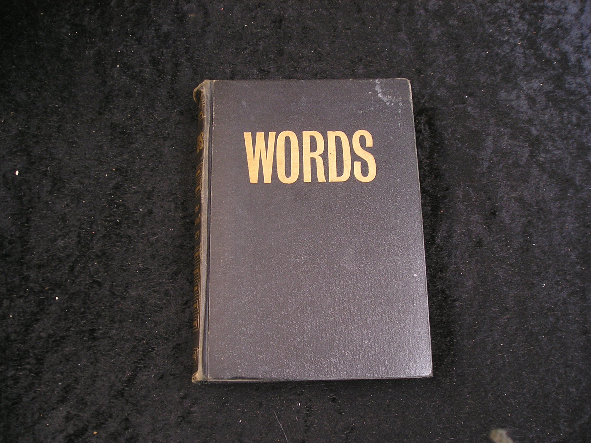Image 0 of Words the New Dictionary