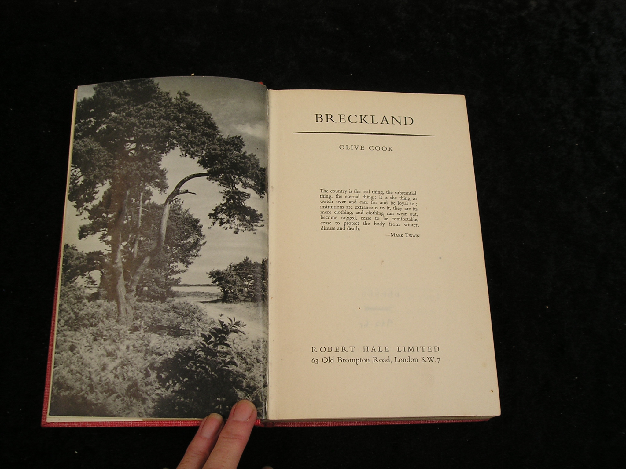 Image 0 of Breckland