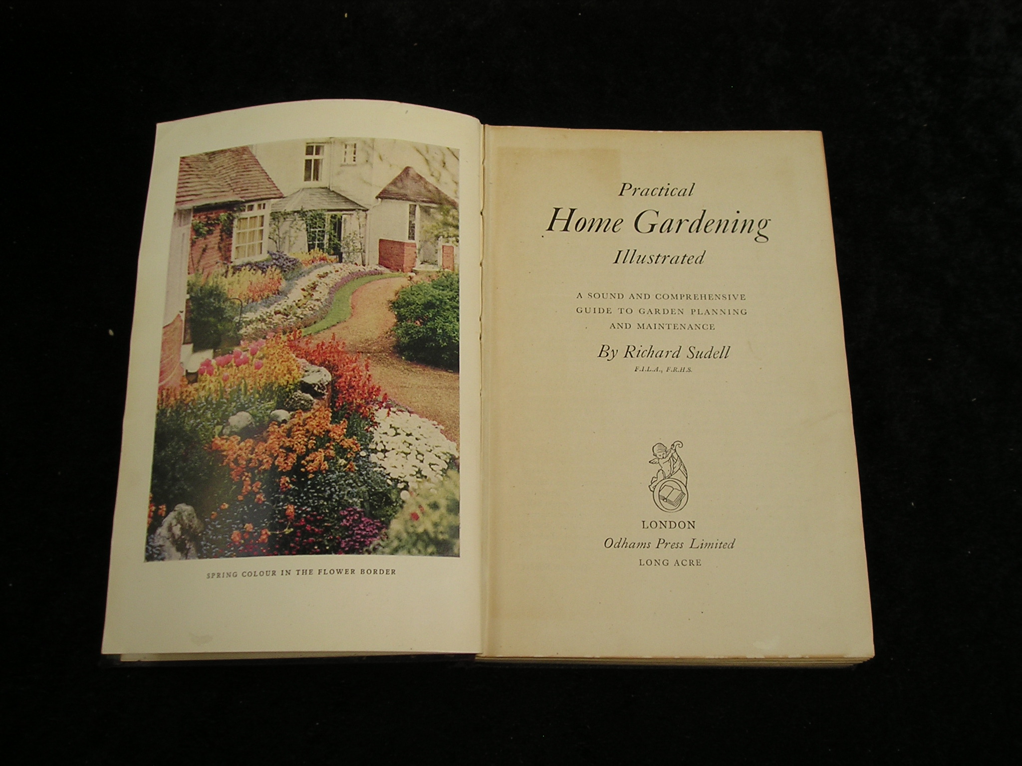 Image 0 of Practical Home Gardening